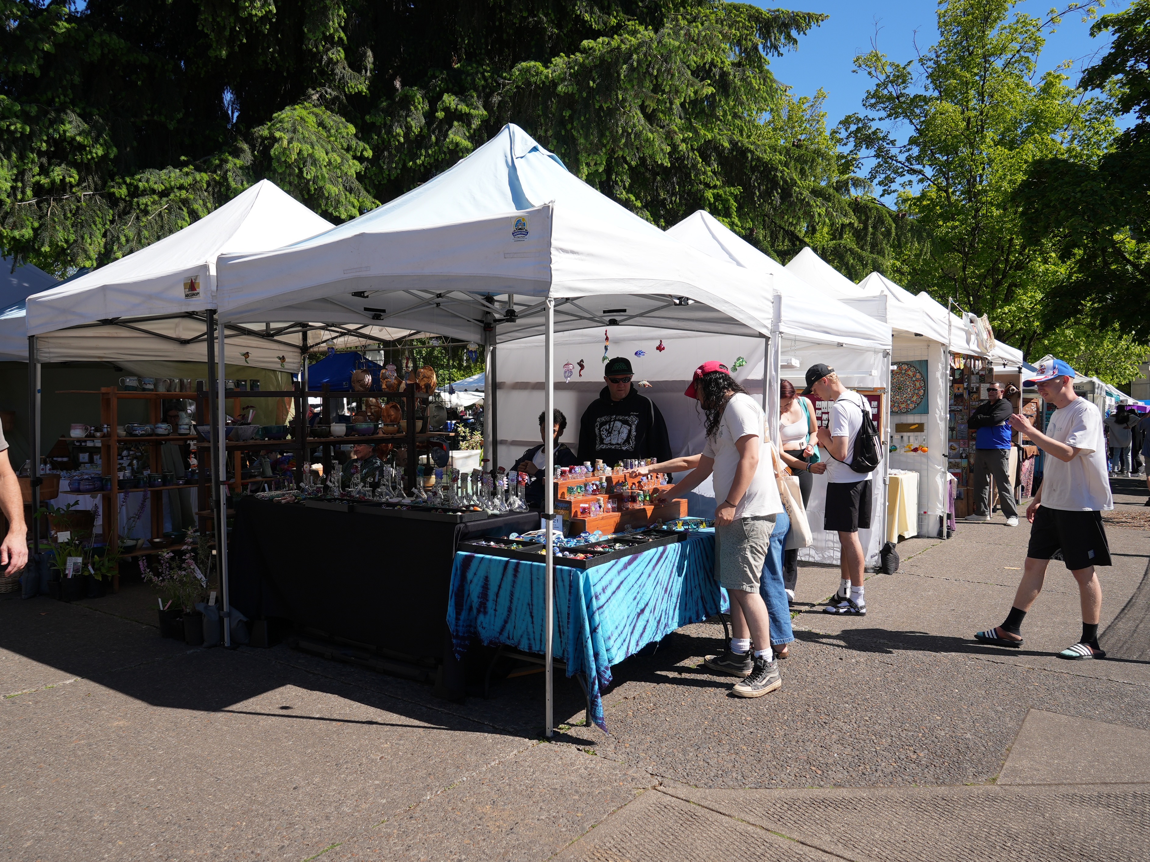 Roque Santeiro fair, Open-air market, sale of condiments and
