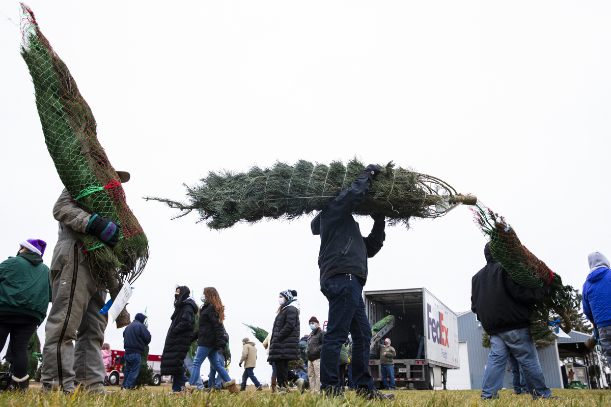 Volunteers gather to load Christmas trees for 'Trees for Troops