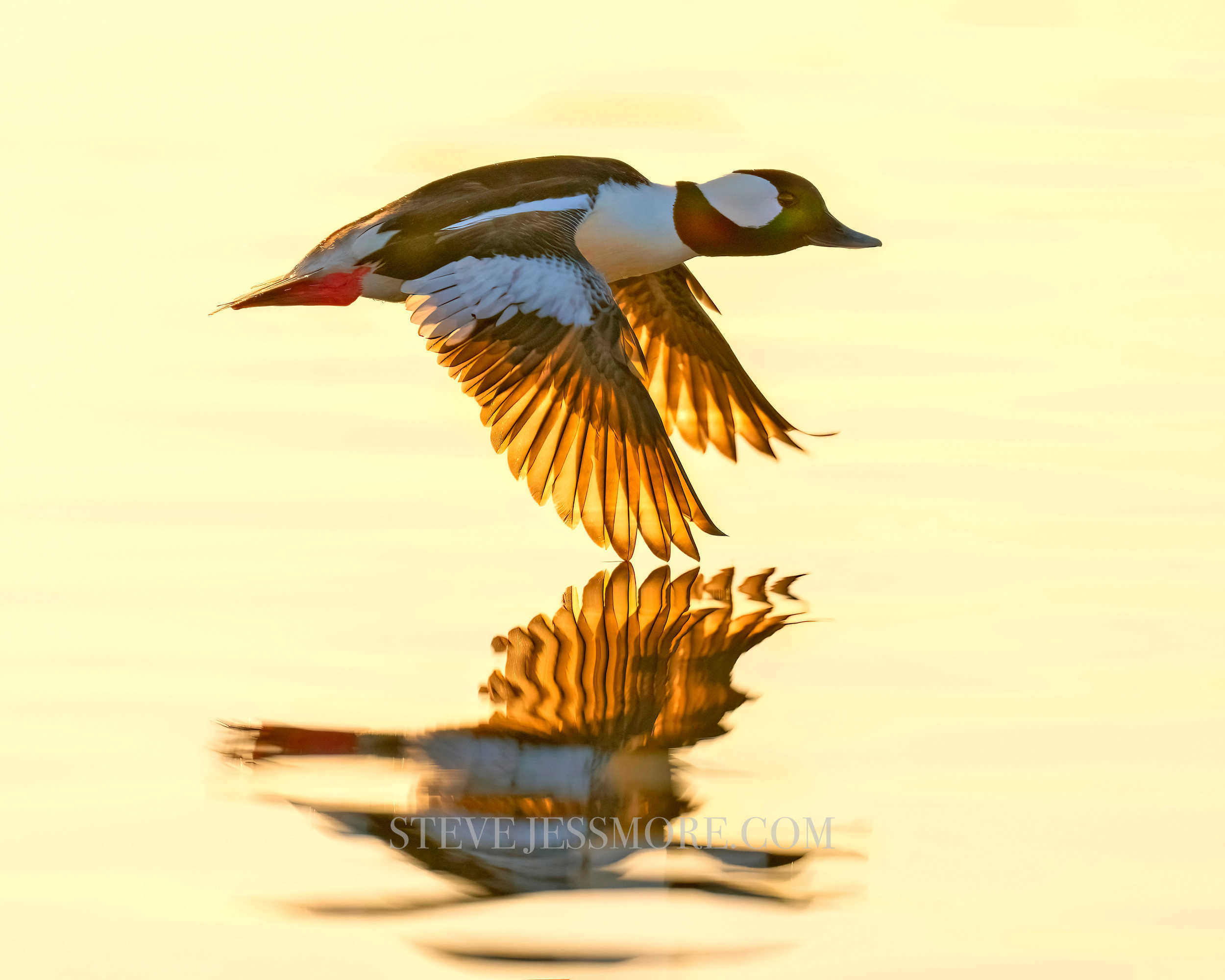 Steve Jessmore and The Reeds Lake Project