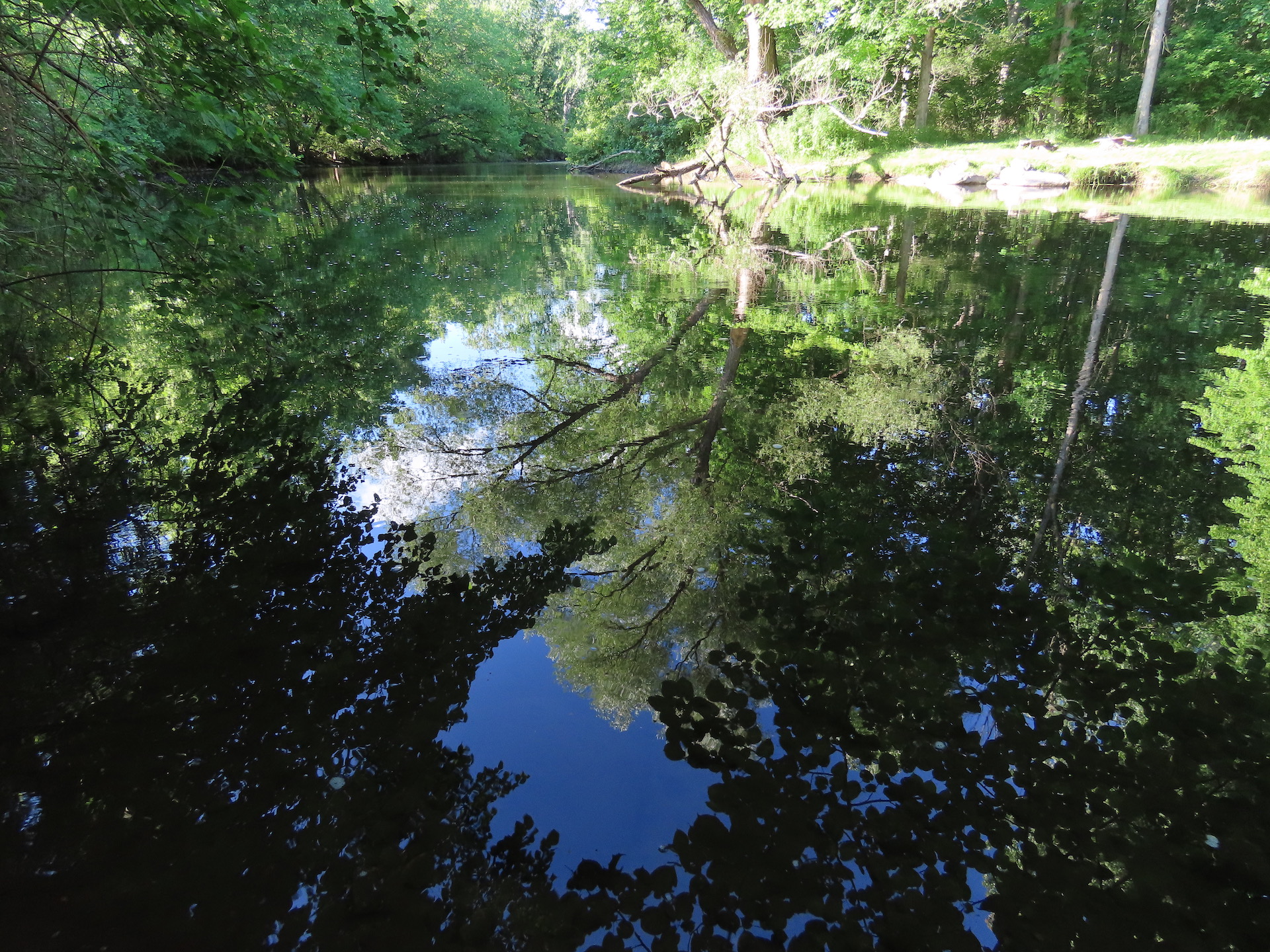 Rogue River PFAS contamination