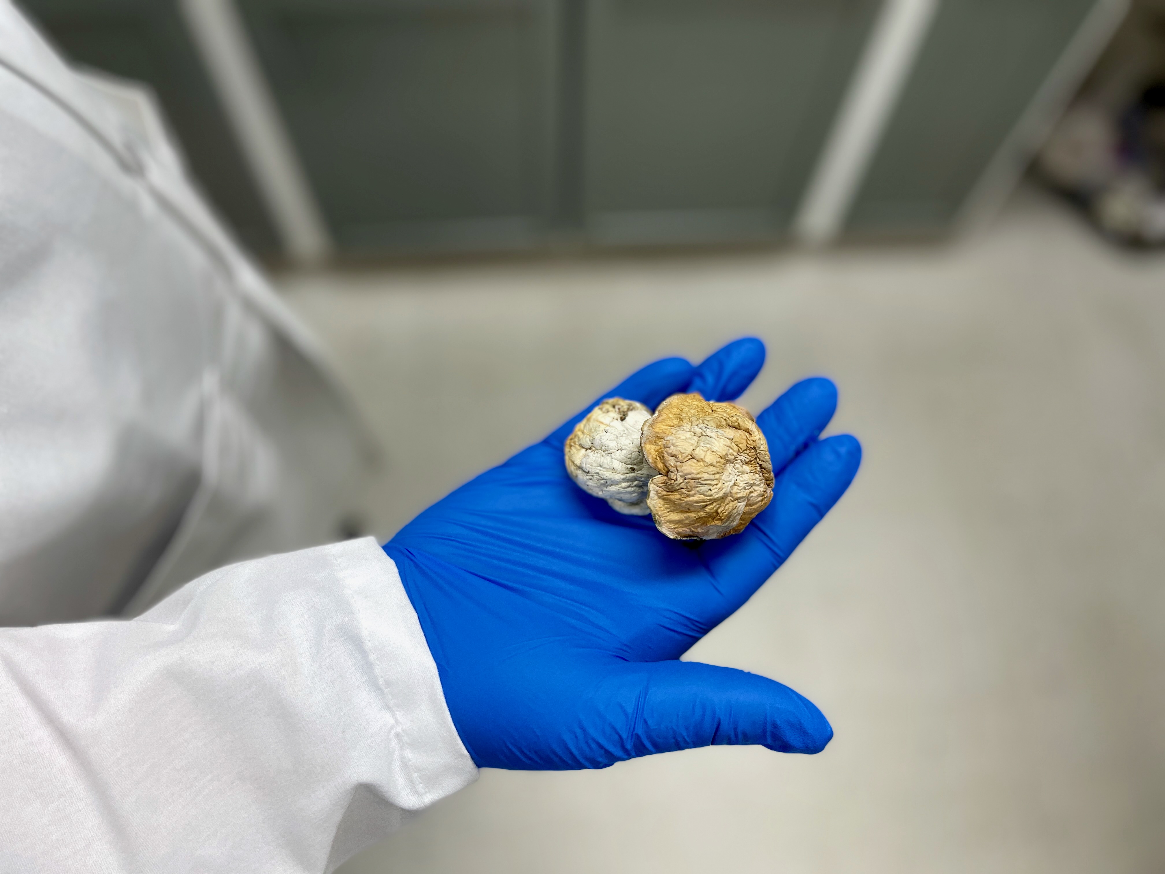 Rose City Laboratories - oregonlive.com