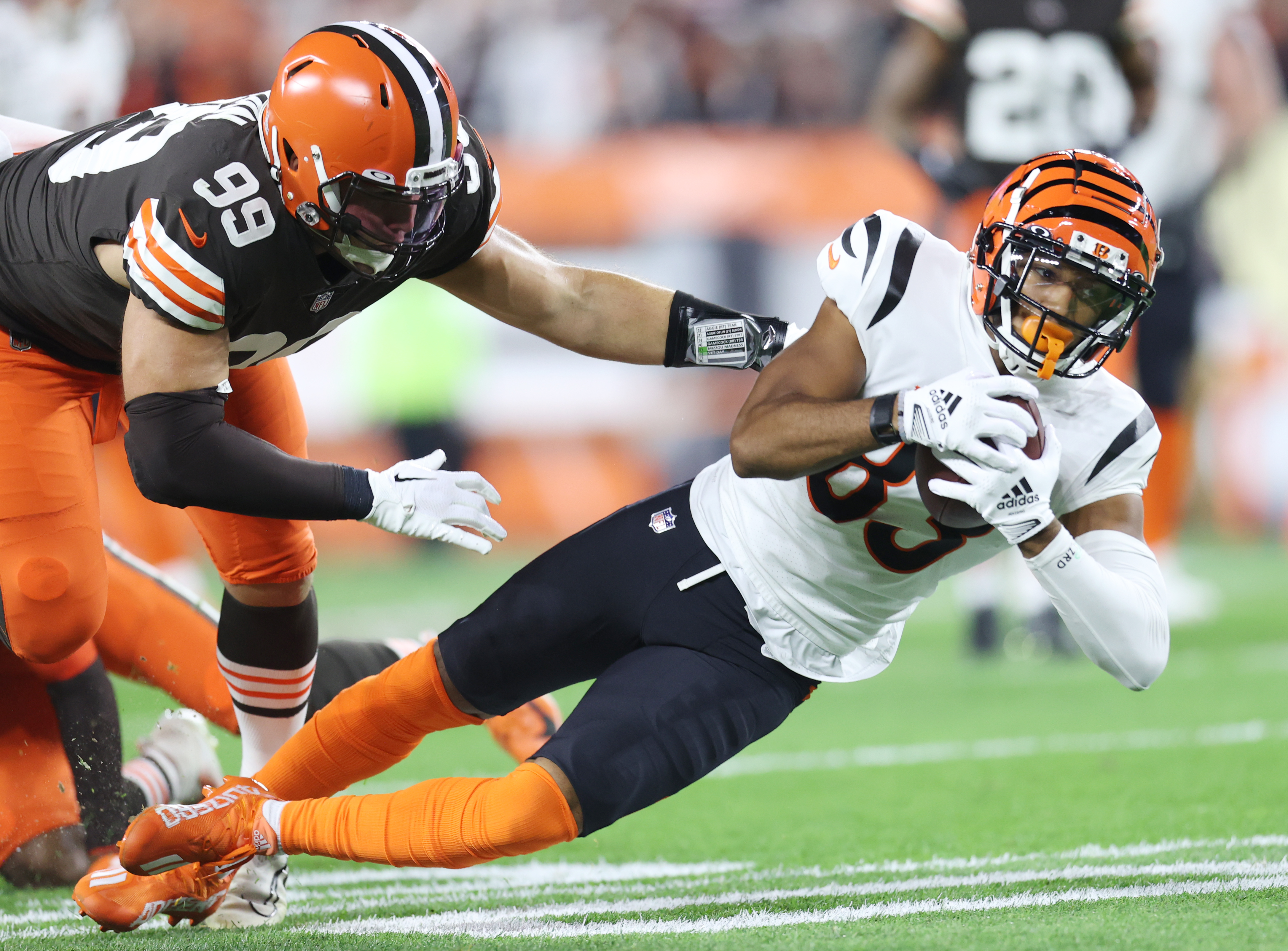 Cincinnati Bengals tight end Mitchell Wilcox (84) lines up for the