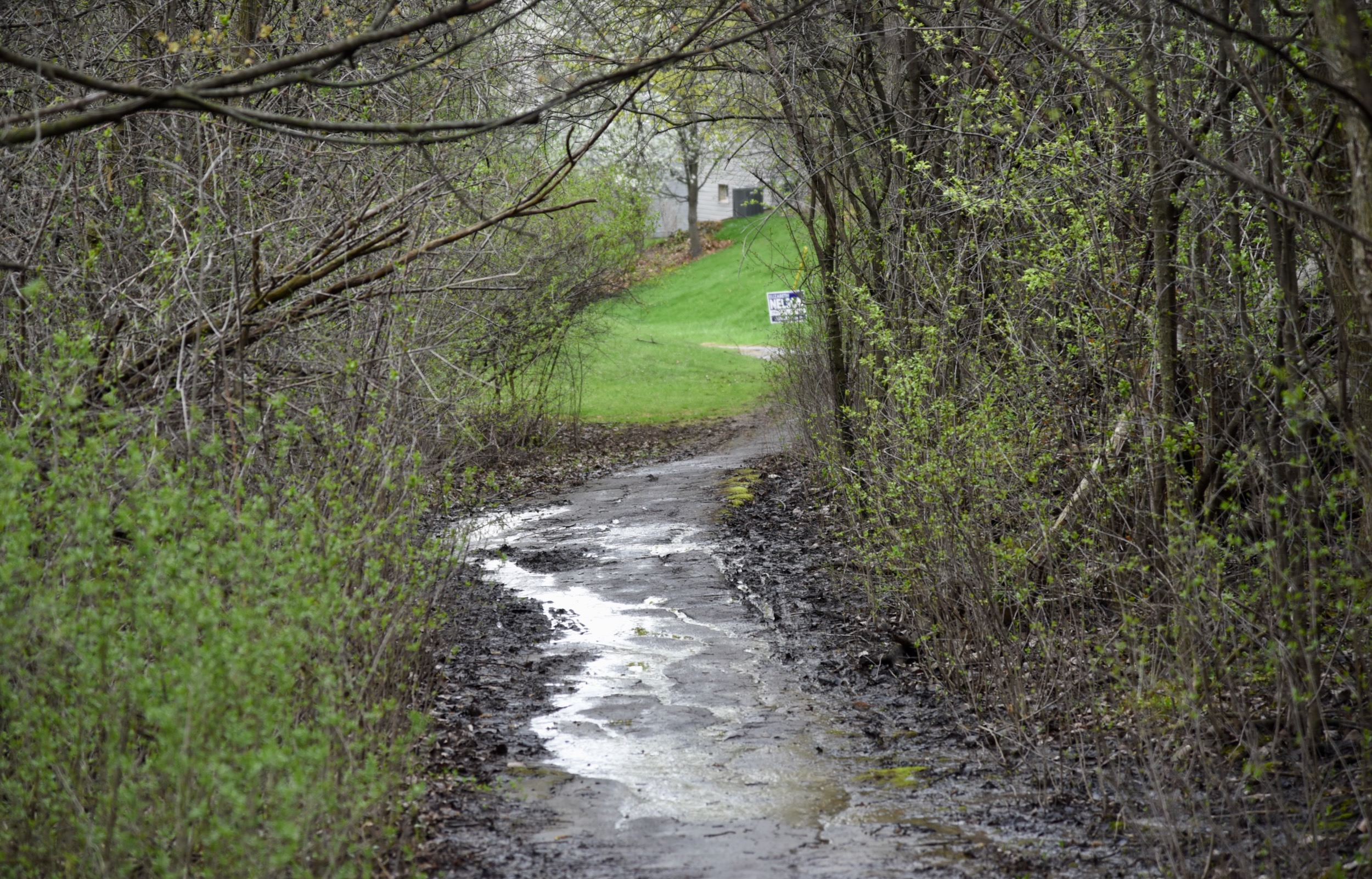 RunnymedePauline asphalt path in Ann Arbor crumbling, muddy and