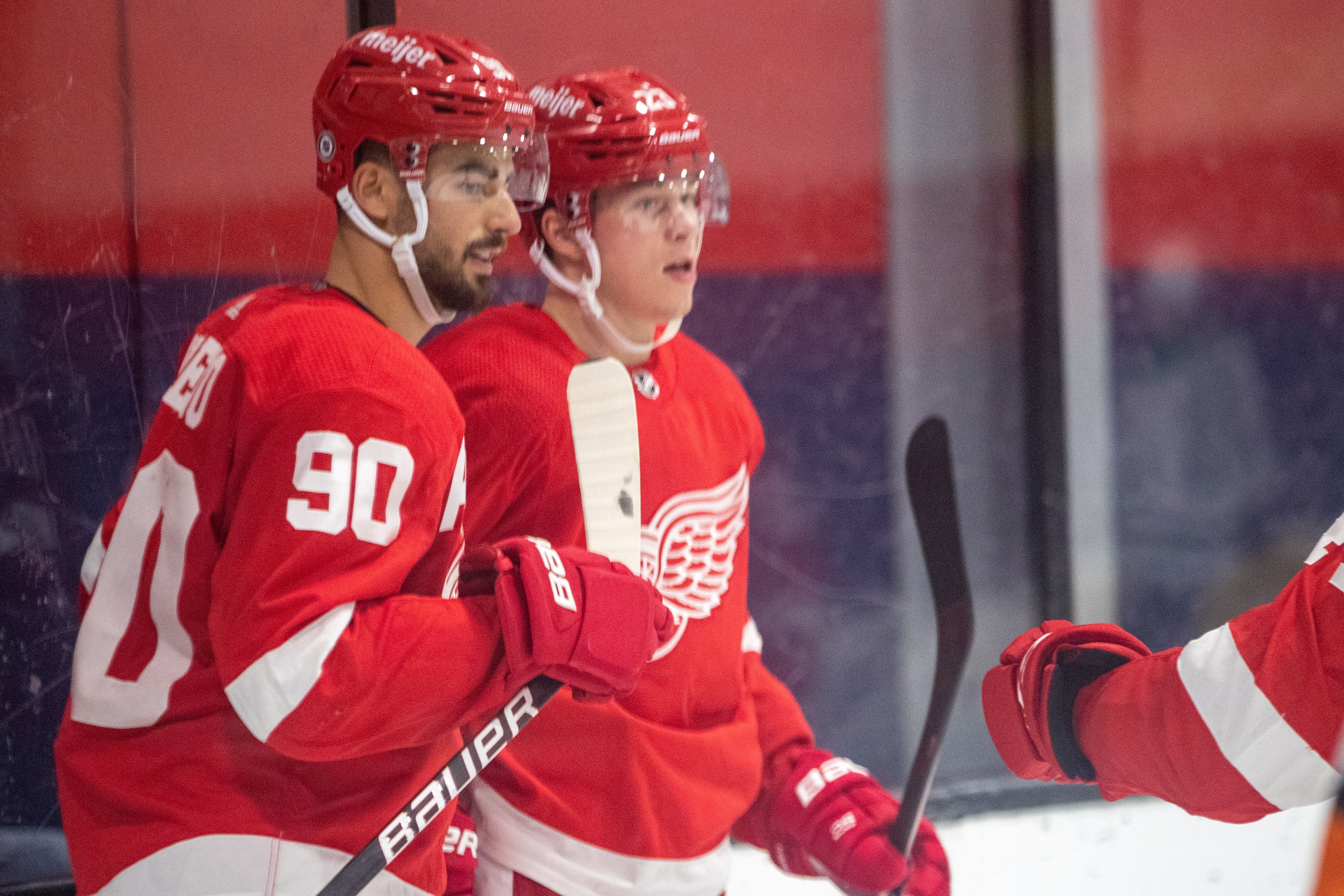 Larkin, group of NHL stars with Michigan roots training together