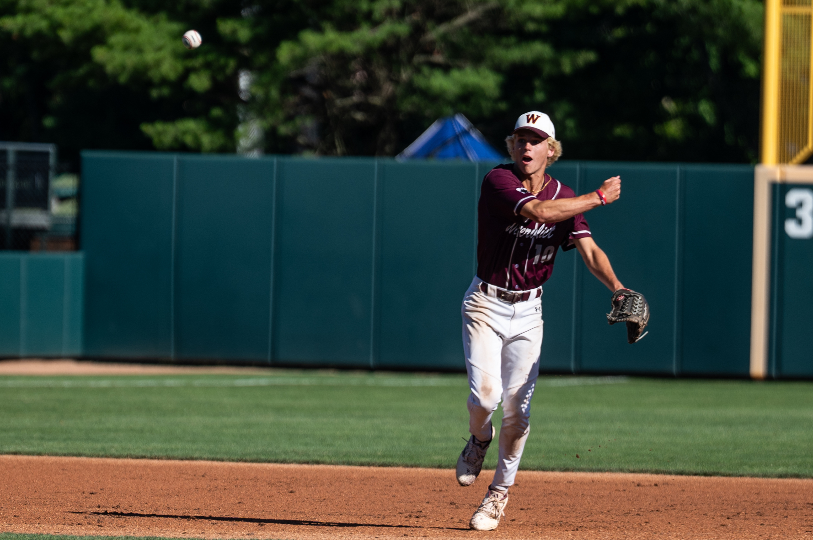 Watervliet wins MHSAA Division 3 baseball state championship - mlive.com