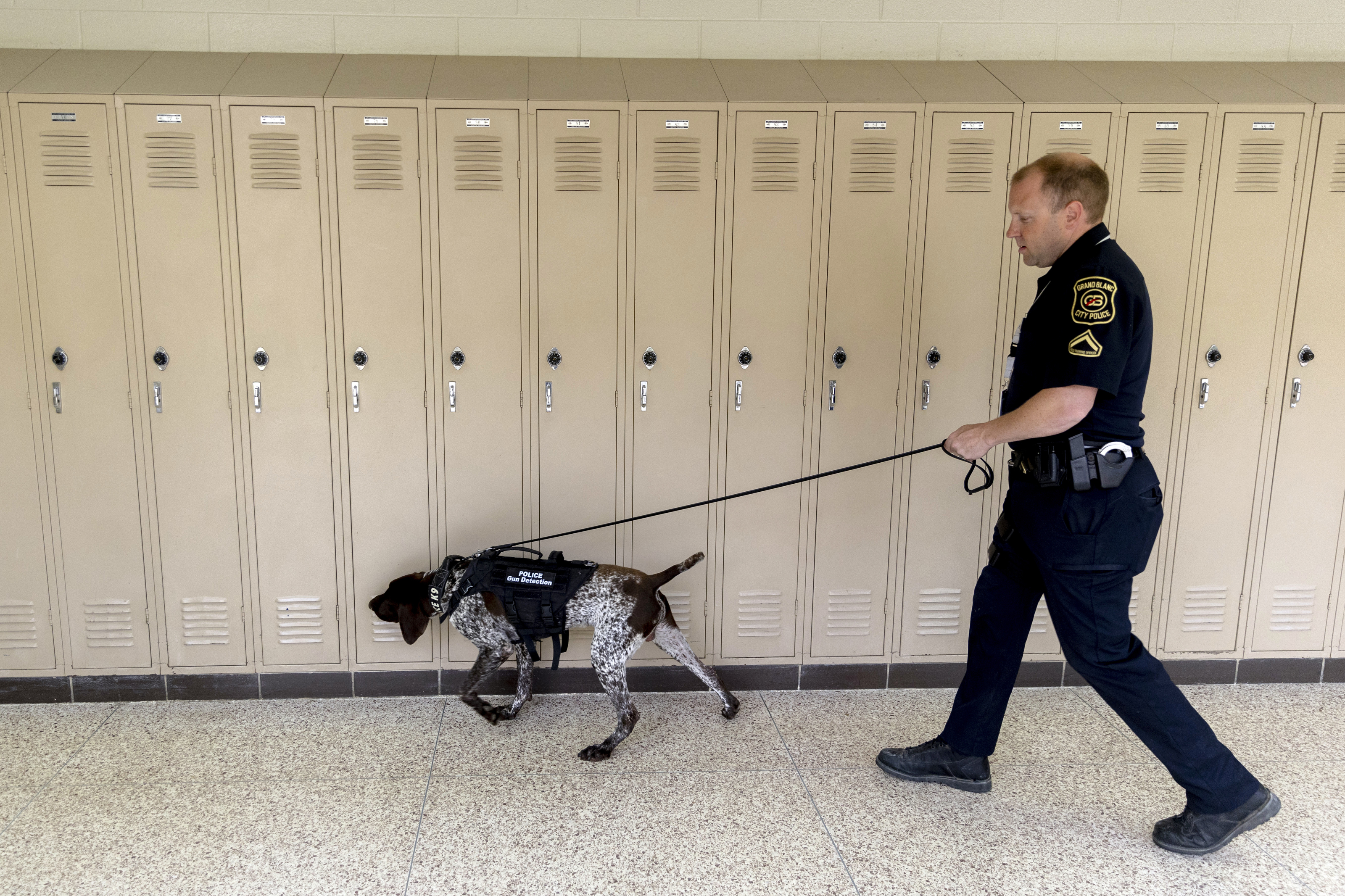 Meet Grand Blanc High School&rsquo;s new K9 officer. His name is Ace 