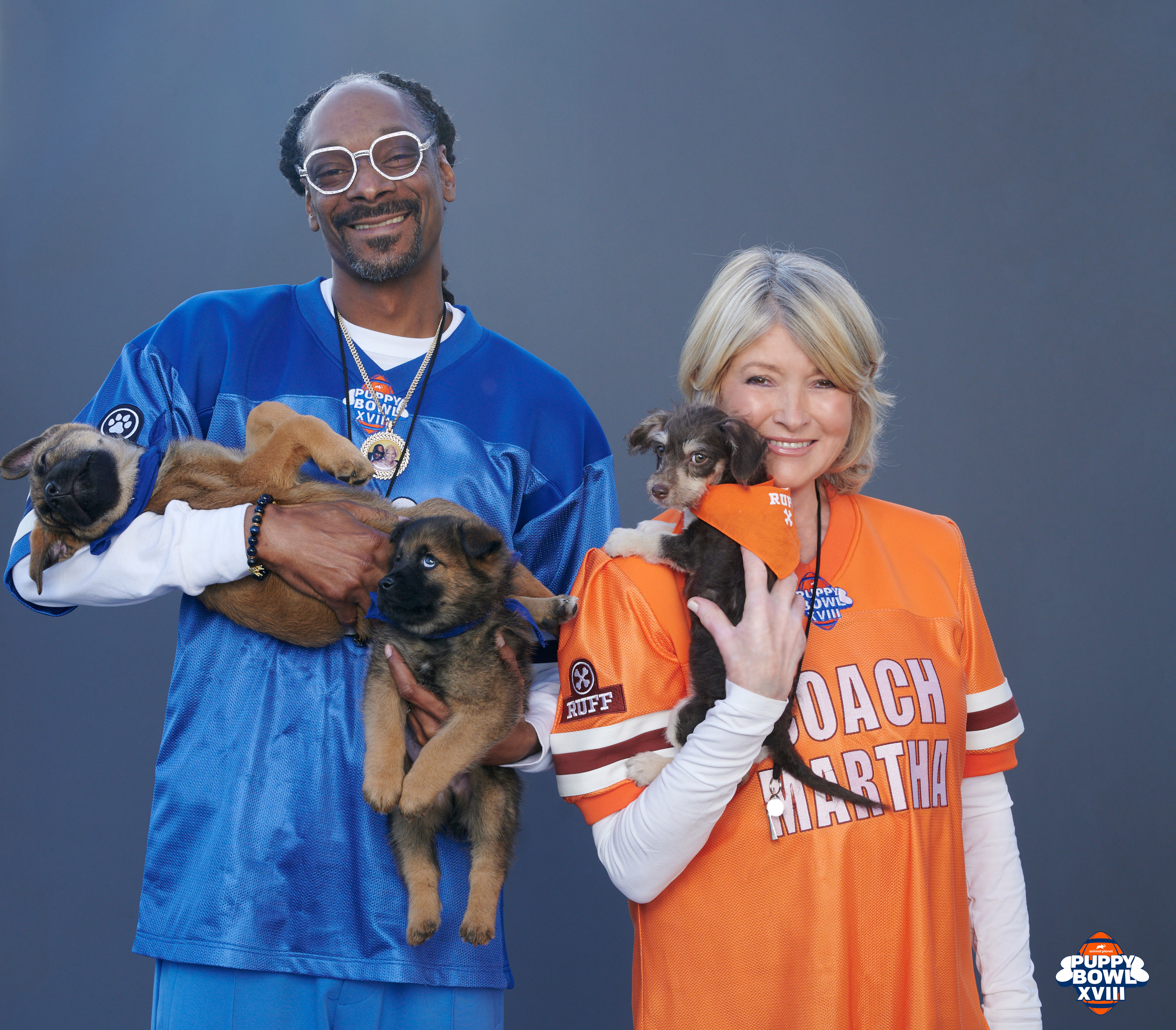 Puppy Bowl XVIII: How to watch, free live streams, TV channel, time  (2/13/22) 