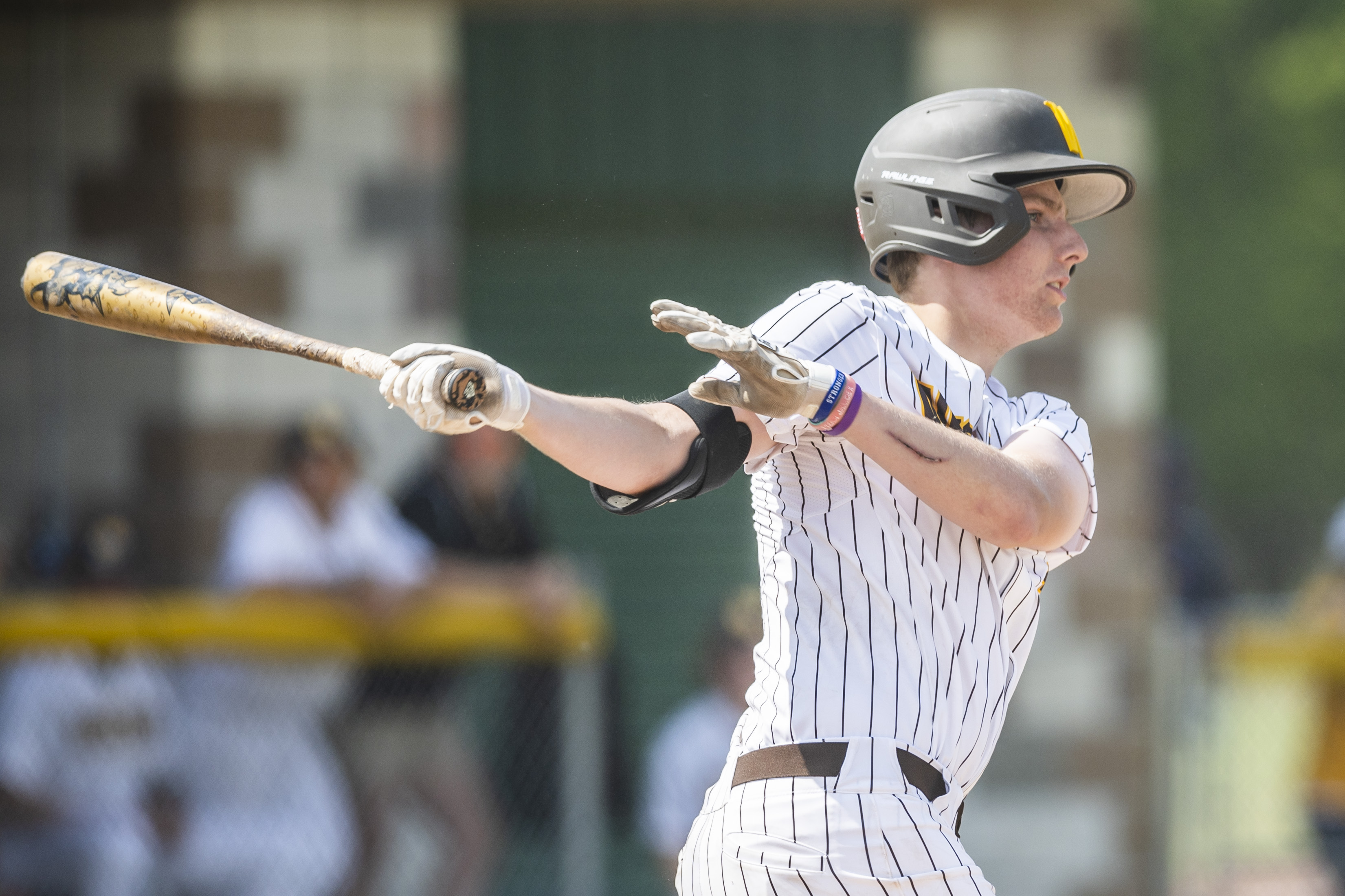 Local baseball players shine in Michigan High School All-Star game