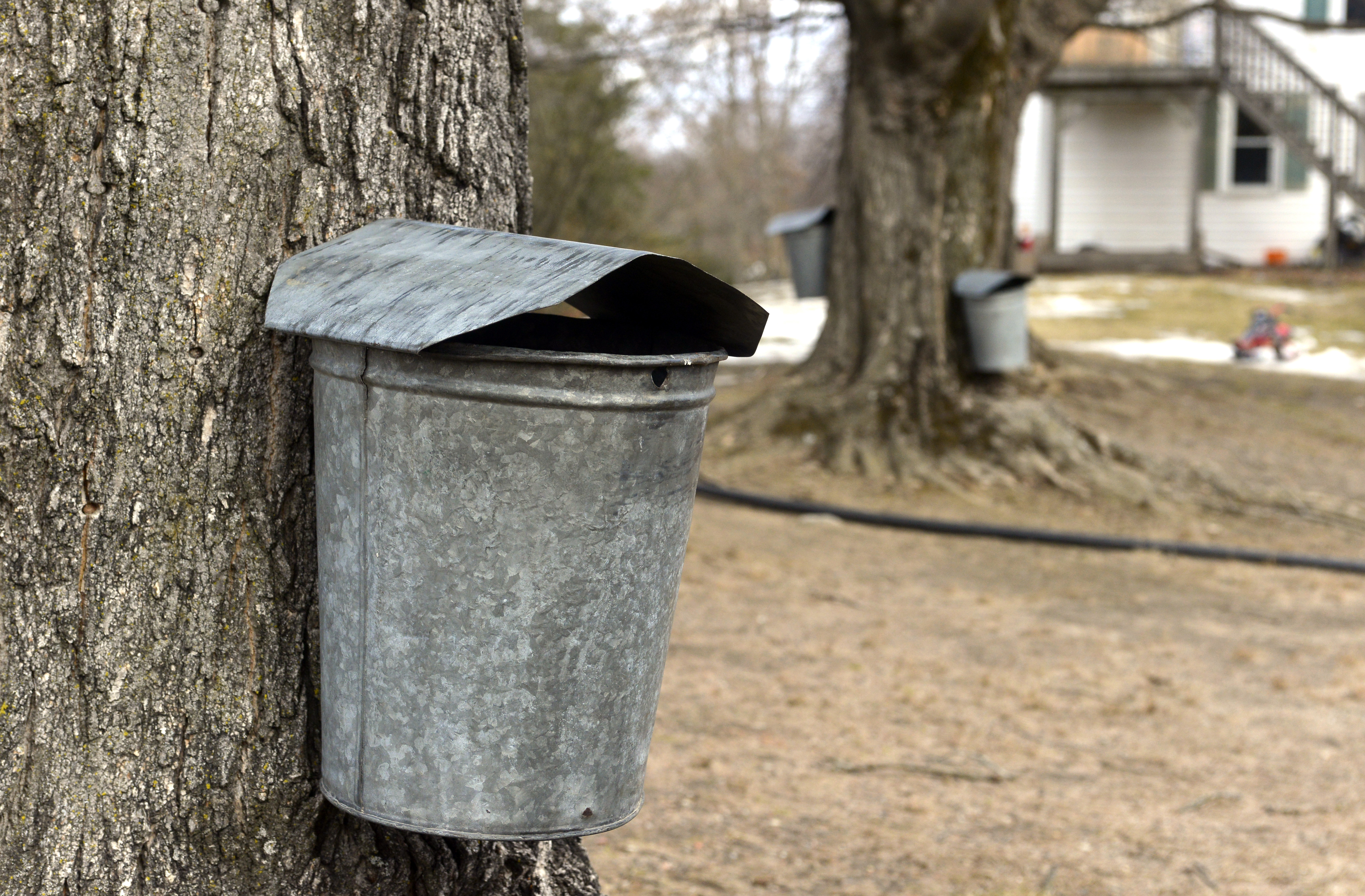 Air-Pot<sup>®</sup> - Deepdale Trees