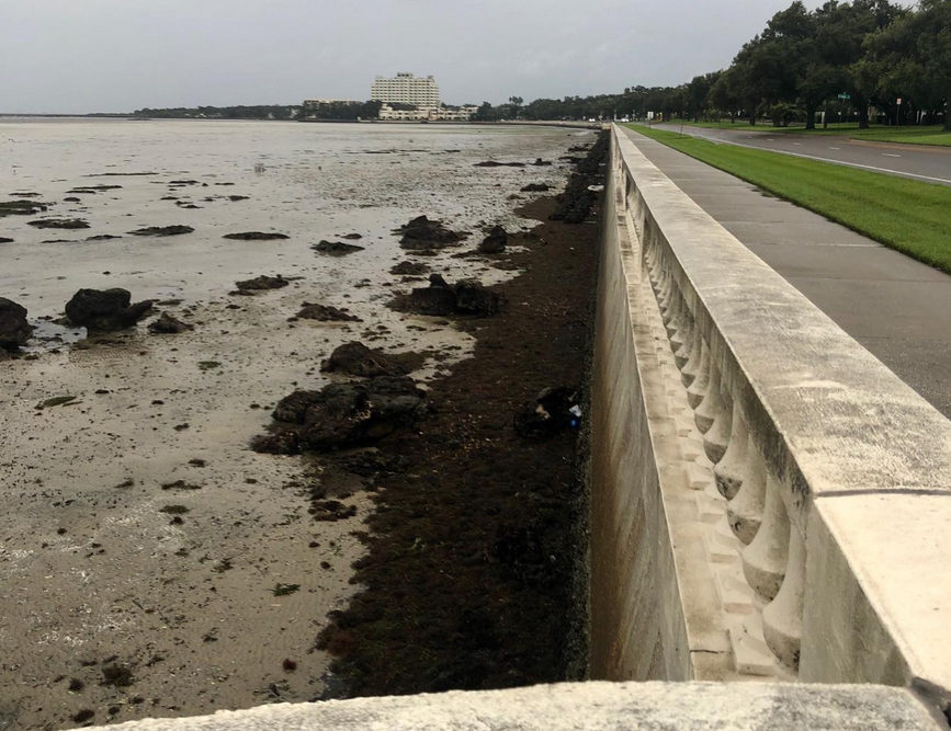 Hurricane Ian: See eerie videos, photos of dry waterways in Tampa Bay -  al.com