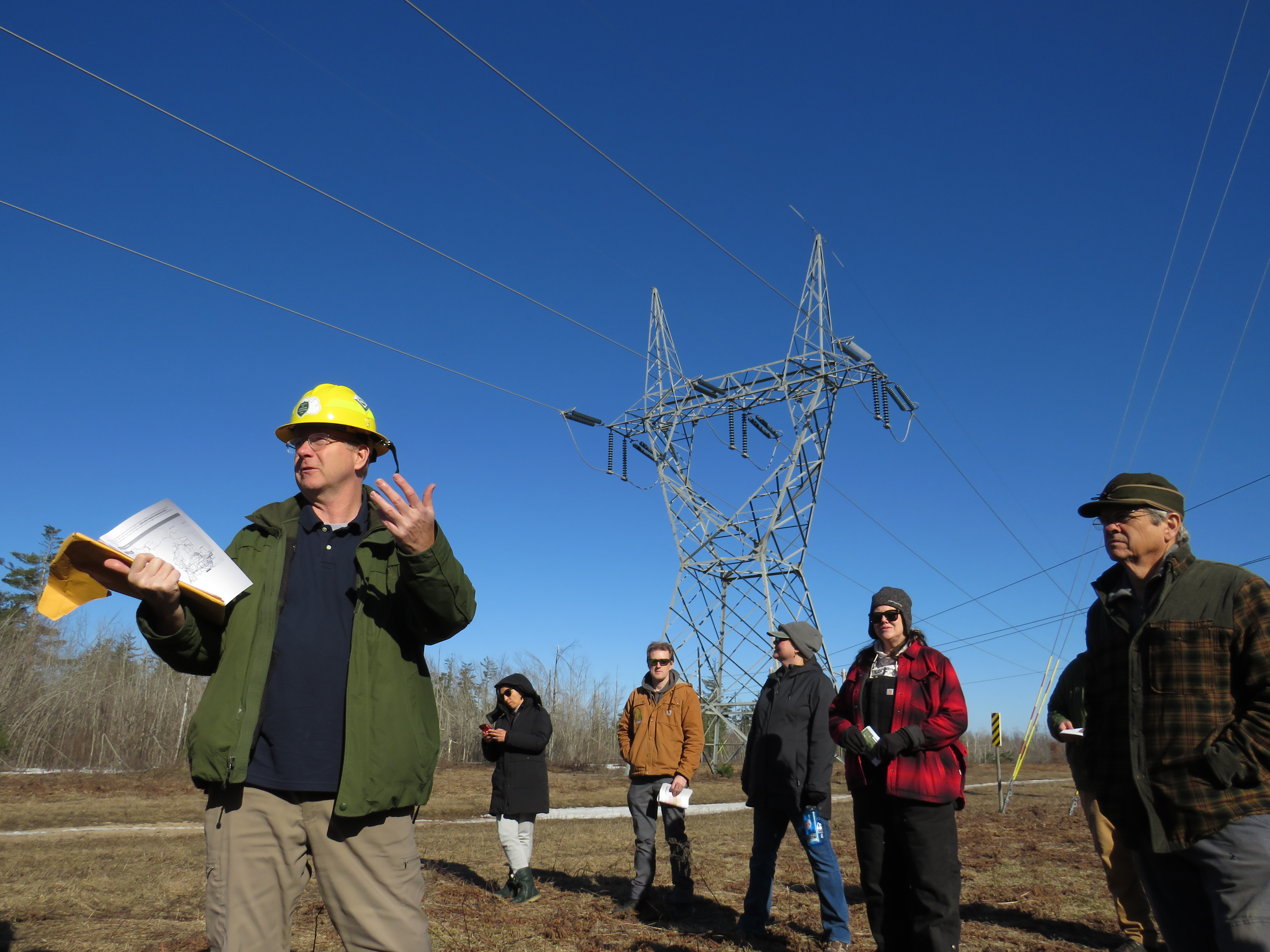 Michigan DNR opts not to lease public land near Gaylord for solar energy -  mlive.com