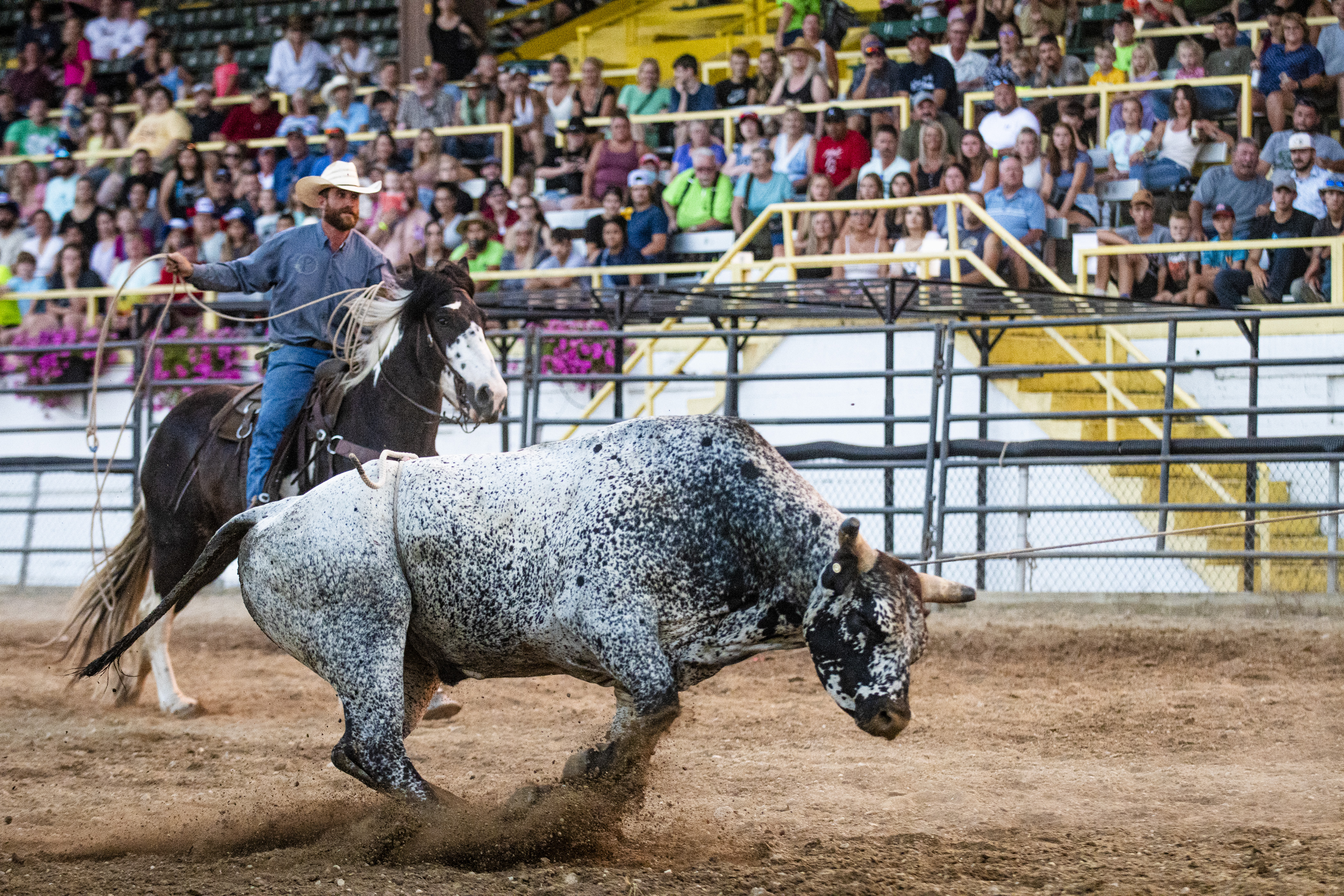 Twisted P Rodeo Jackson - mlive.com