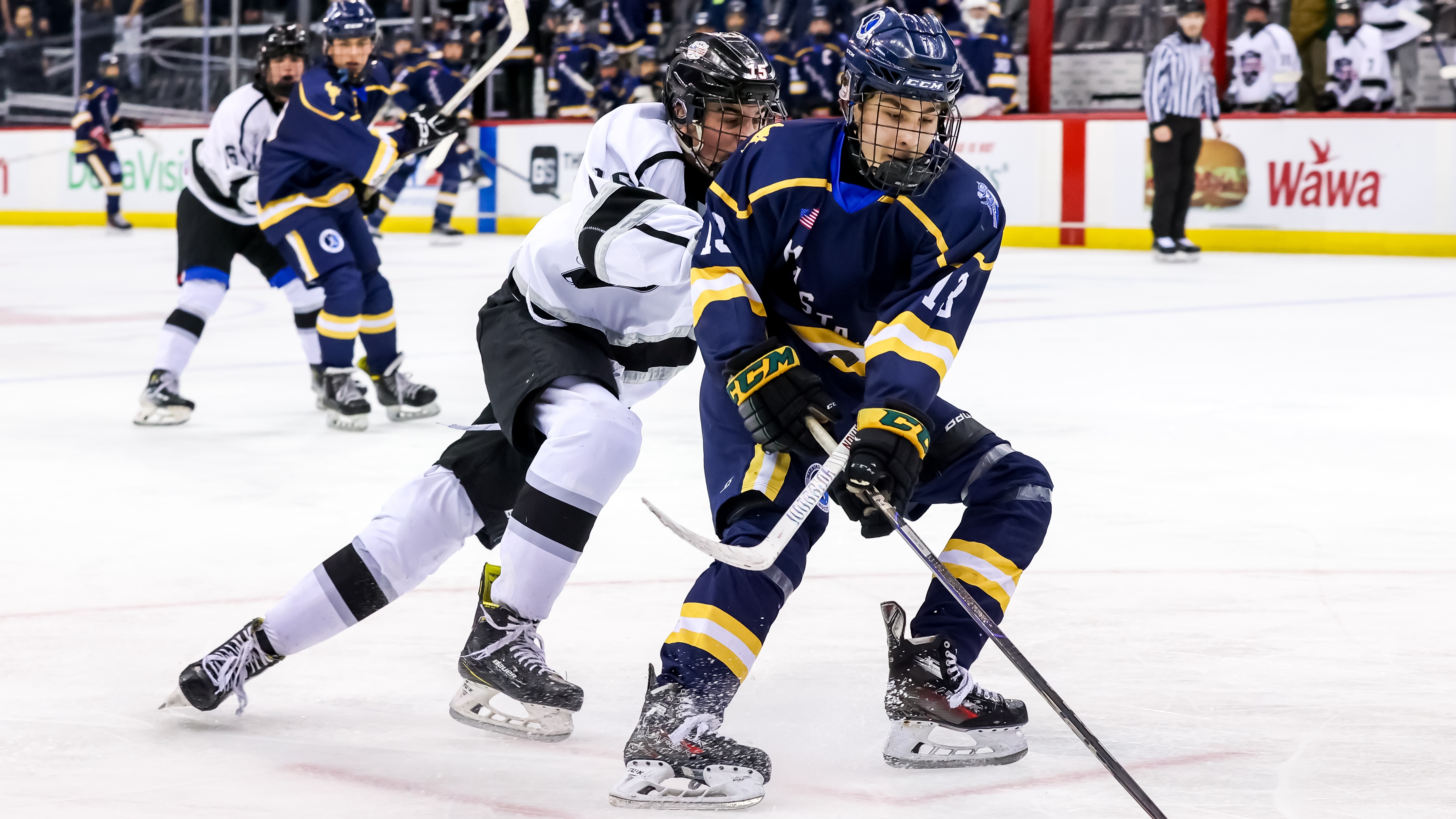 Movies with Cole Weiss watch online, image size:3600x2025