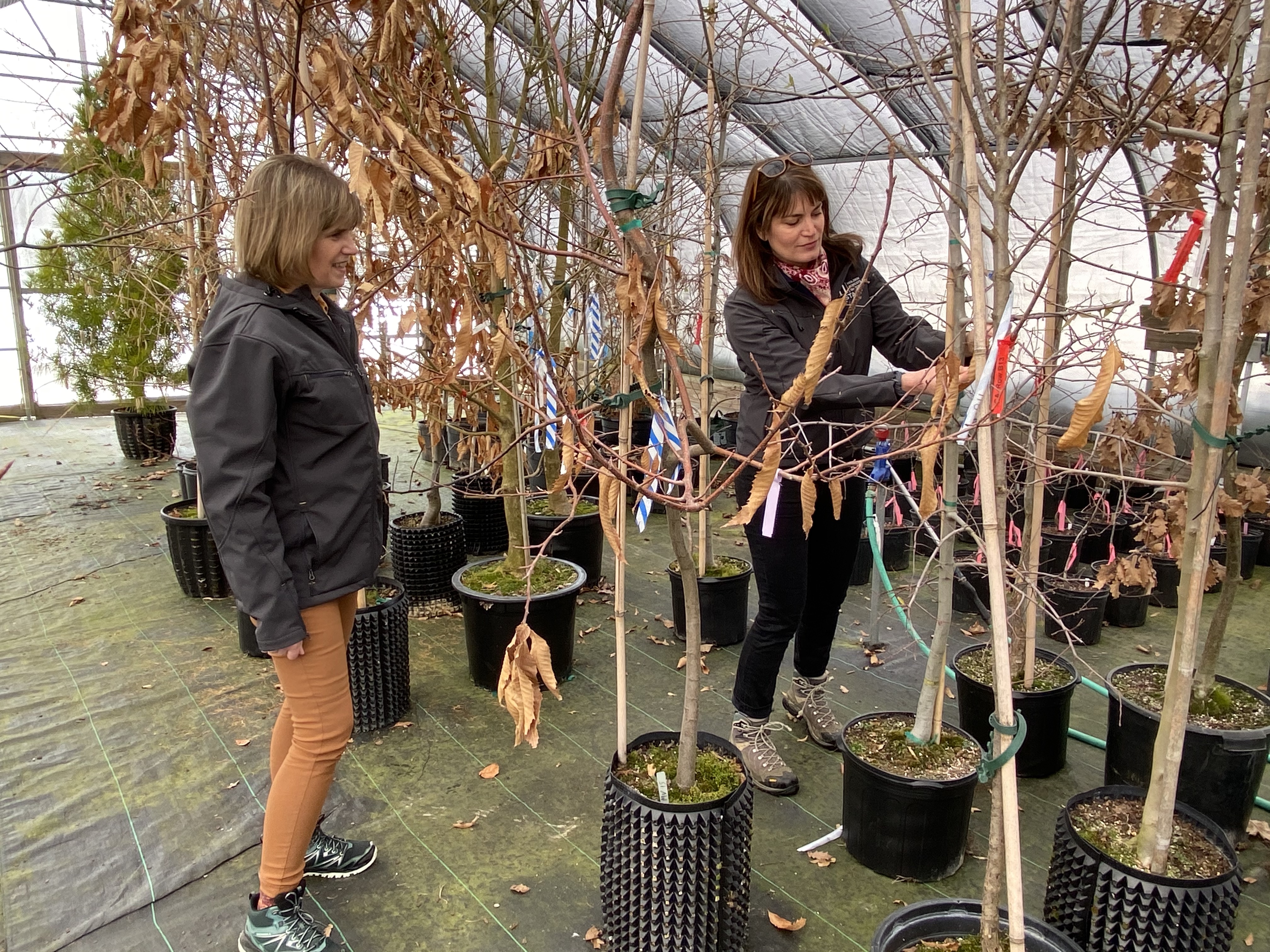 People for Trees: Celebrating Arbor Day with Holden Forests & Gardens