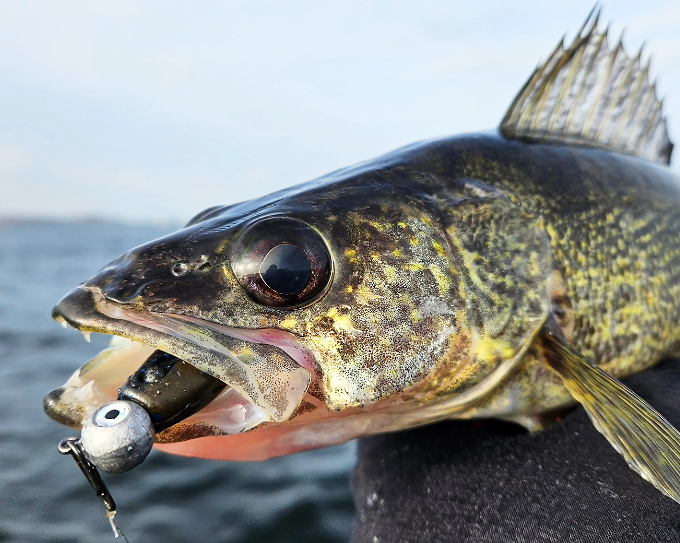 How will CNY's warm winter impact walleye season? - newyorkupstate.com