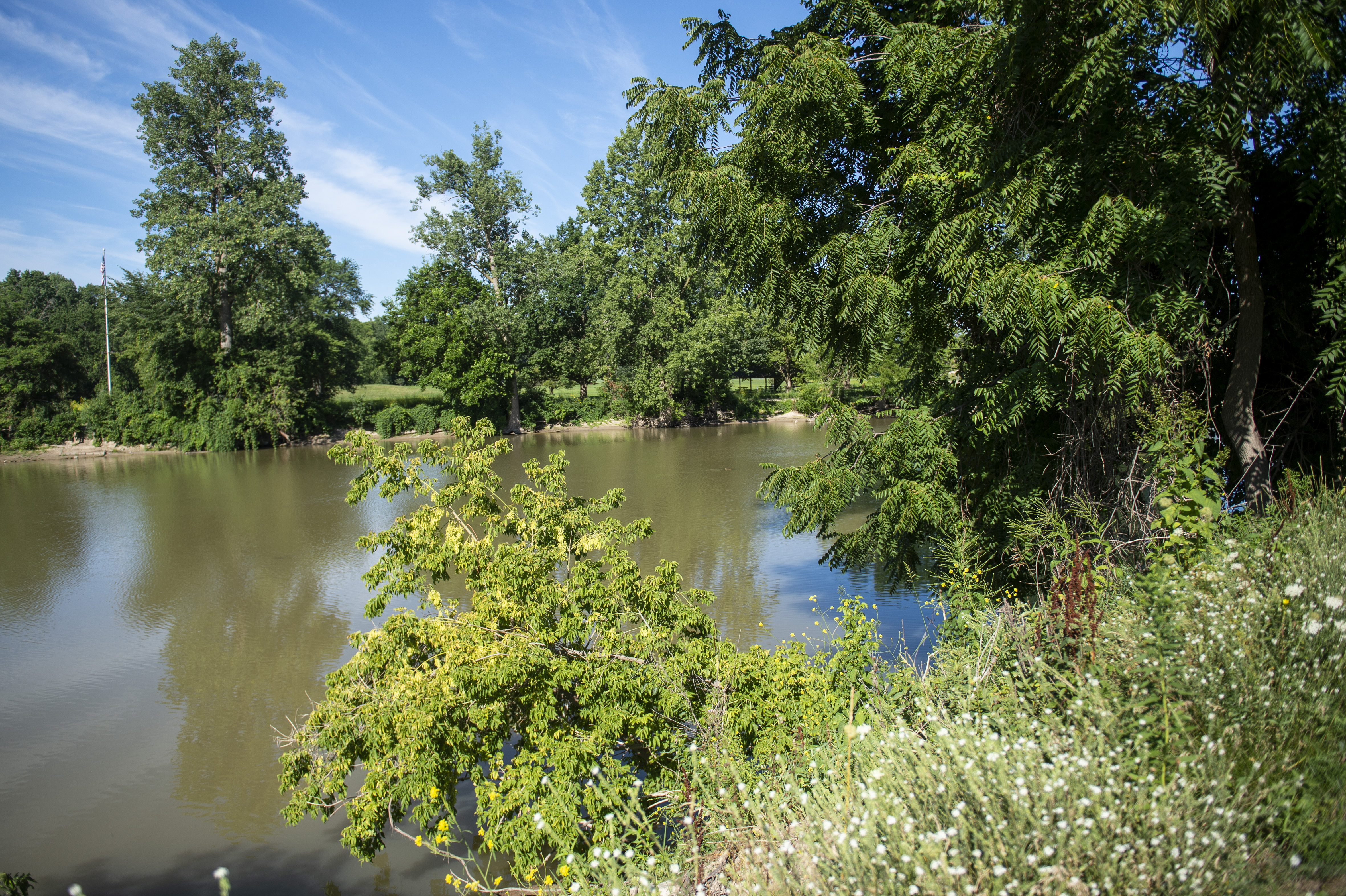 A view of the Tittabawasse River near the Tridge in Midland on Thursday, July 30, 2020. The devastating flood in May gushed over the majority of land in this area. (Kaytie Boomer | MLive.com)