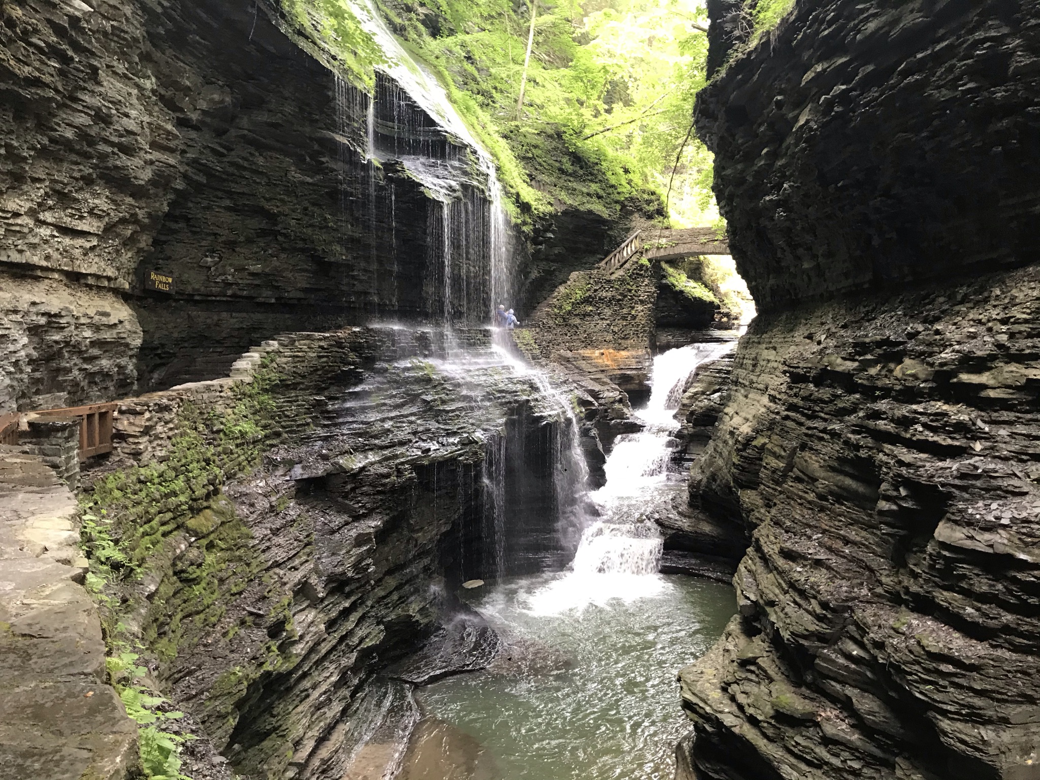 Finger Lakes Breastfeeding Partnership