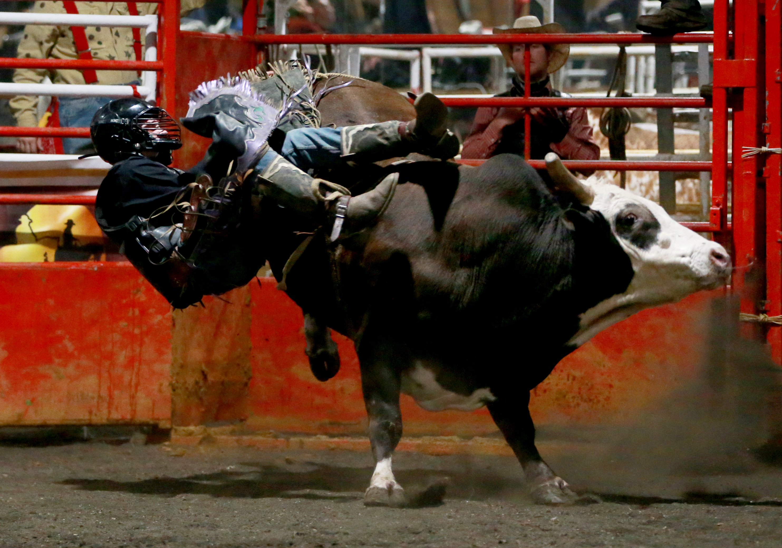 Bull riding on a Saturday night - nj.com