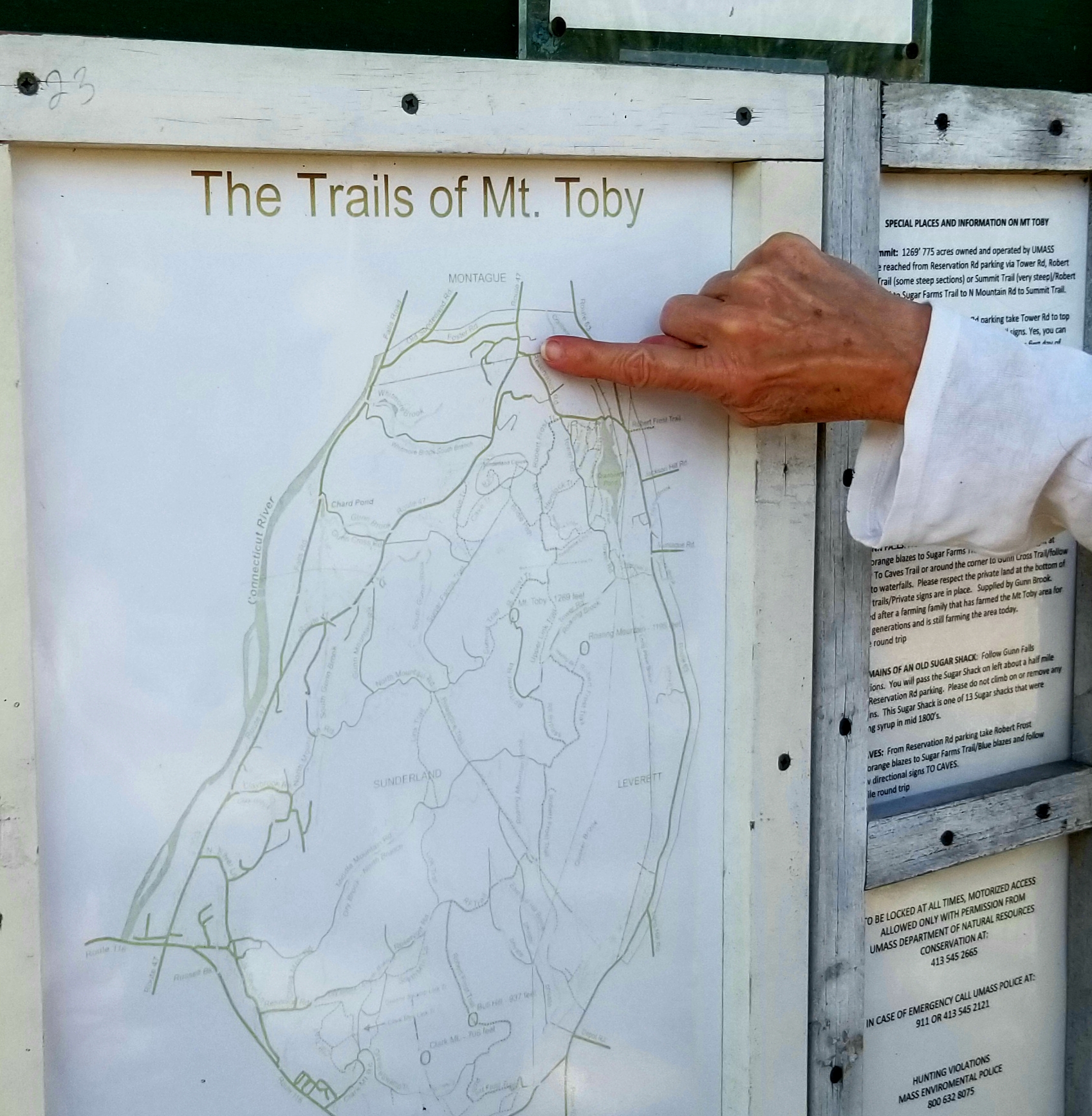 Mt Toby Trail Map Got Cabin Fever? Walk This Mount Toby Trail - Masslive.com