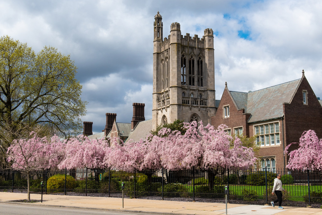 Is Belleville really the 'Cherry Blossom Capital?