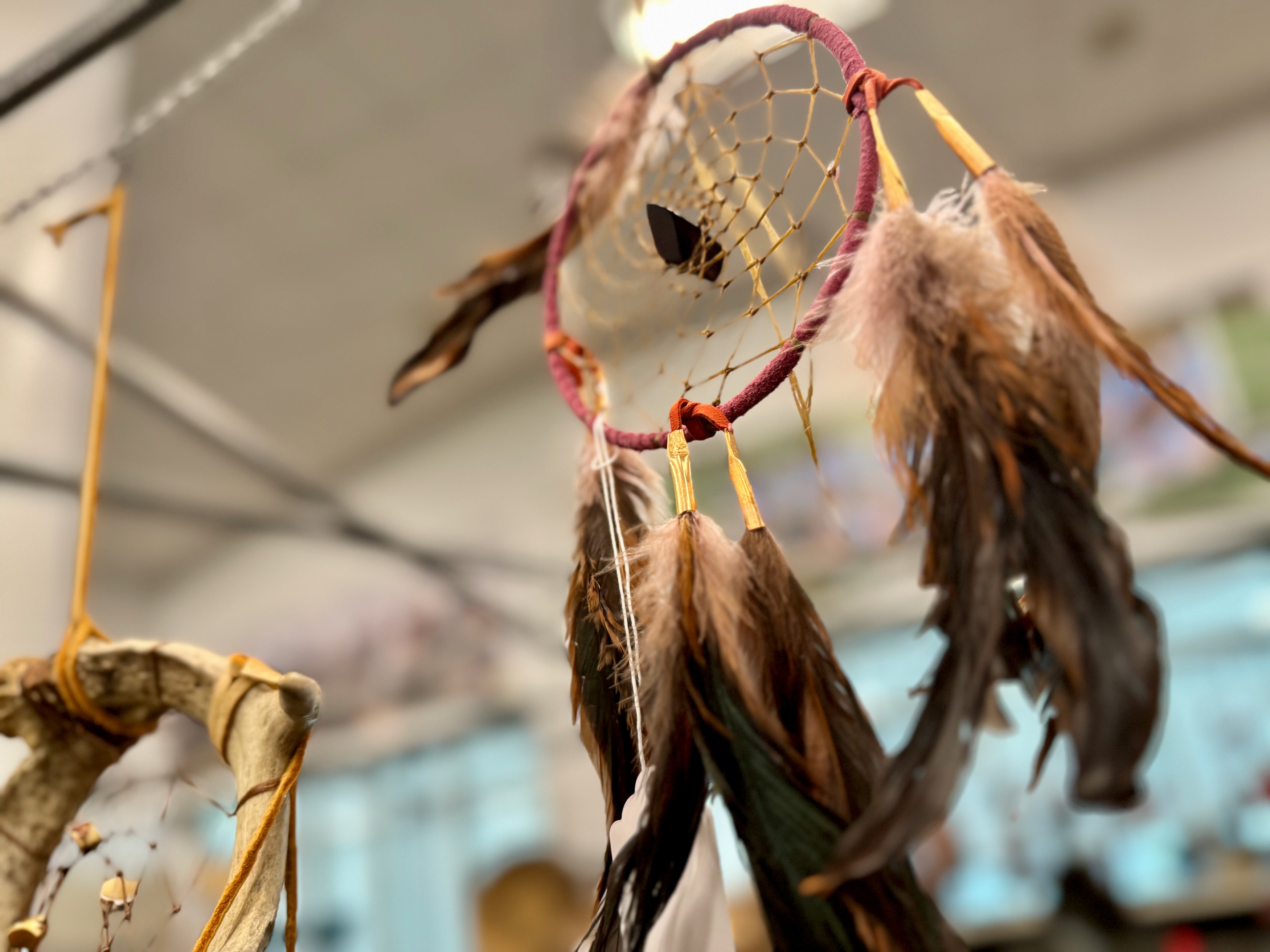 50thannual Dance for Mother Earth Powwow in Ann Arbor