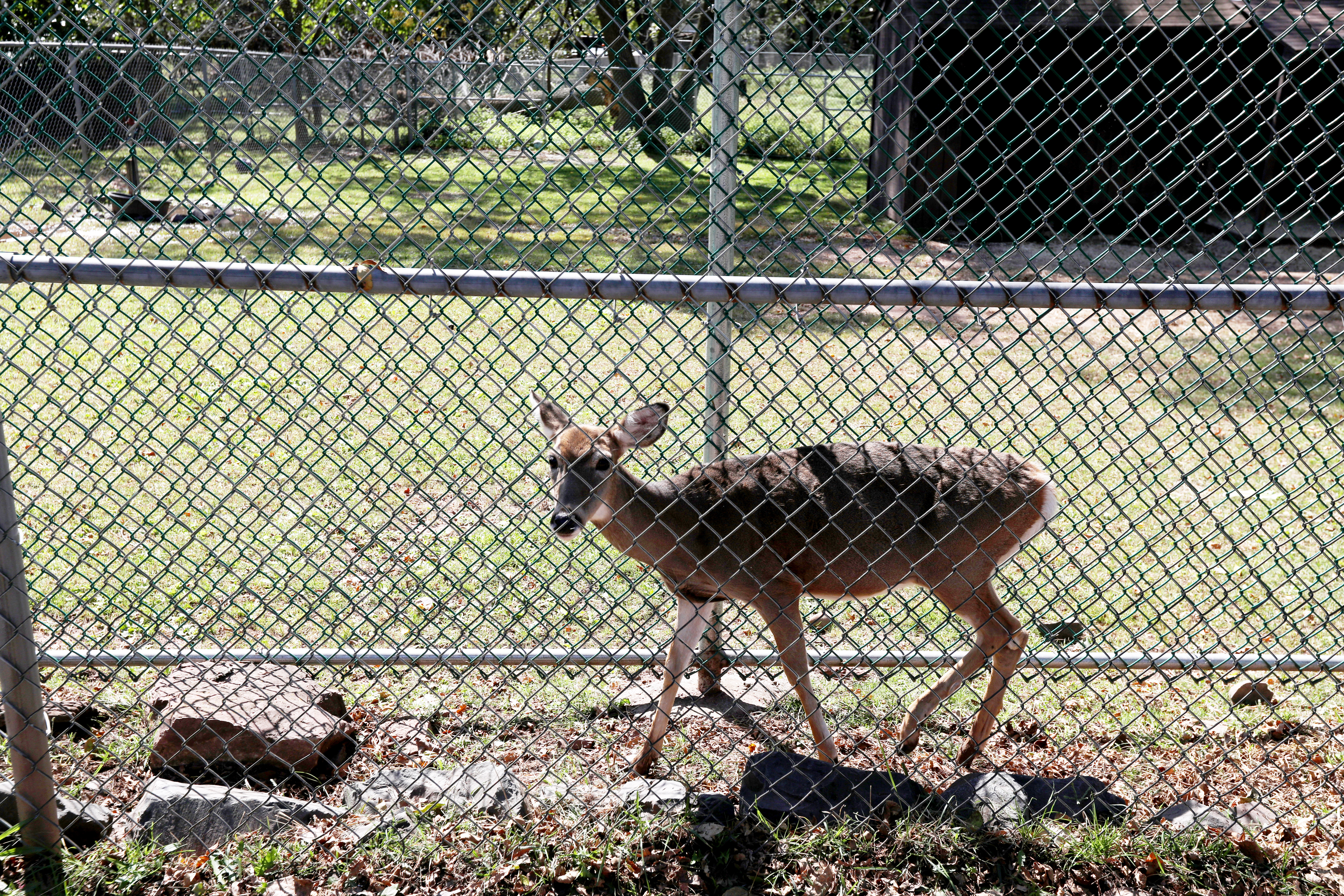 5 New Jersey Zoos and Animal Preserves to Check Out During