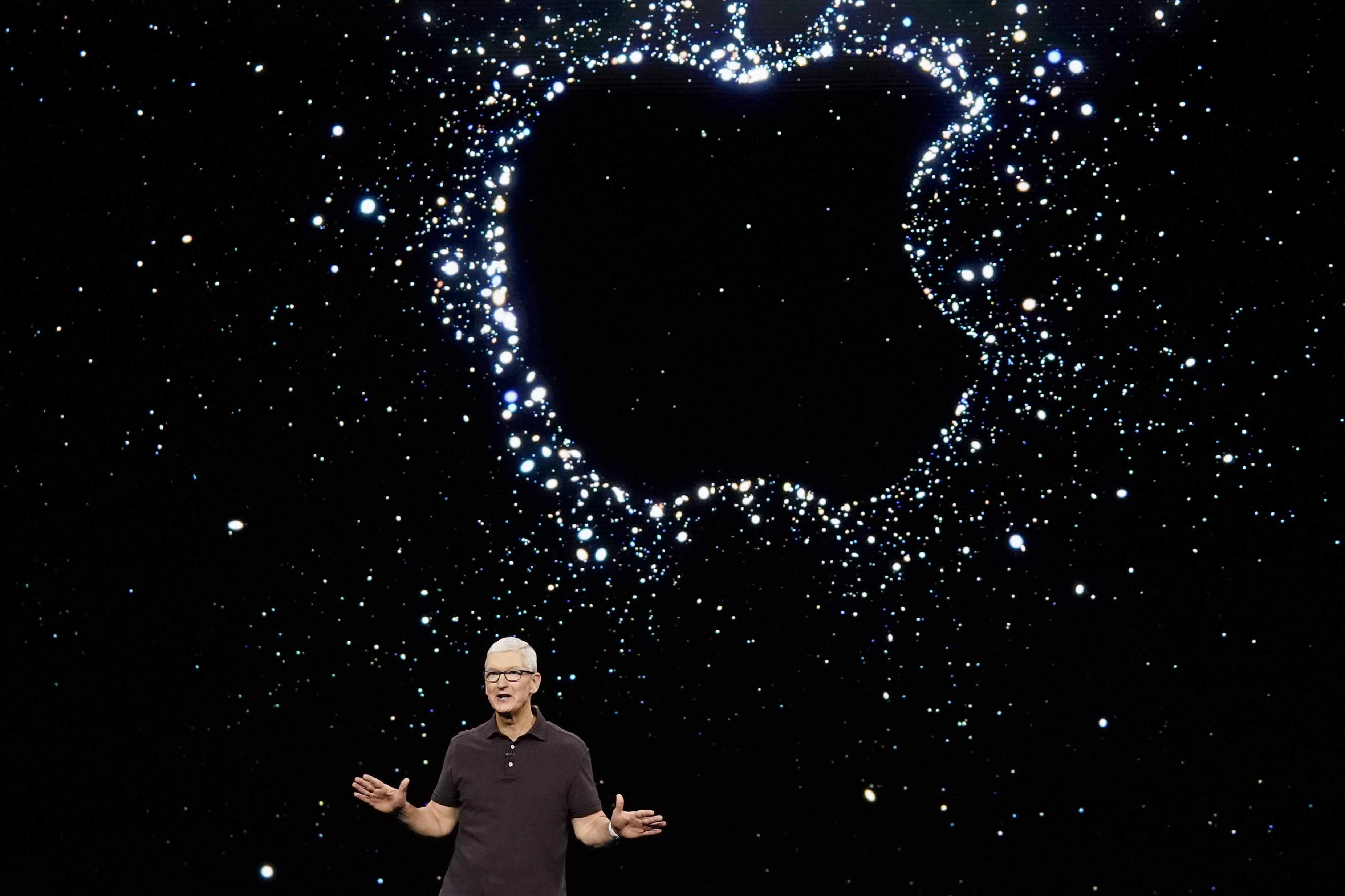Steve Jobs' daughter mocks Apple's iPhone 14 with a meme, hinting