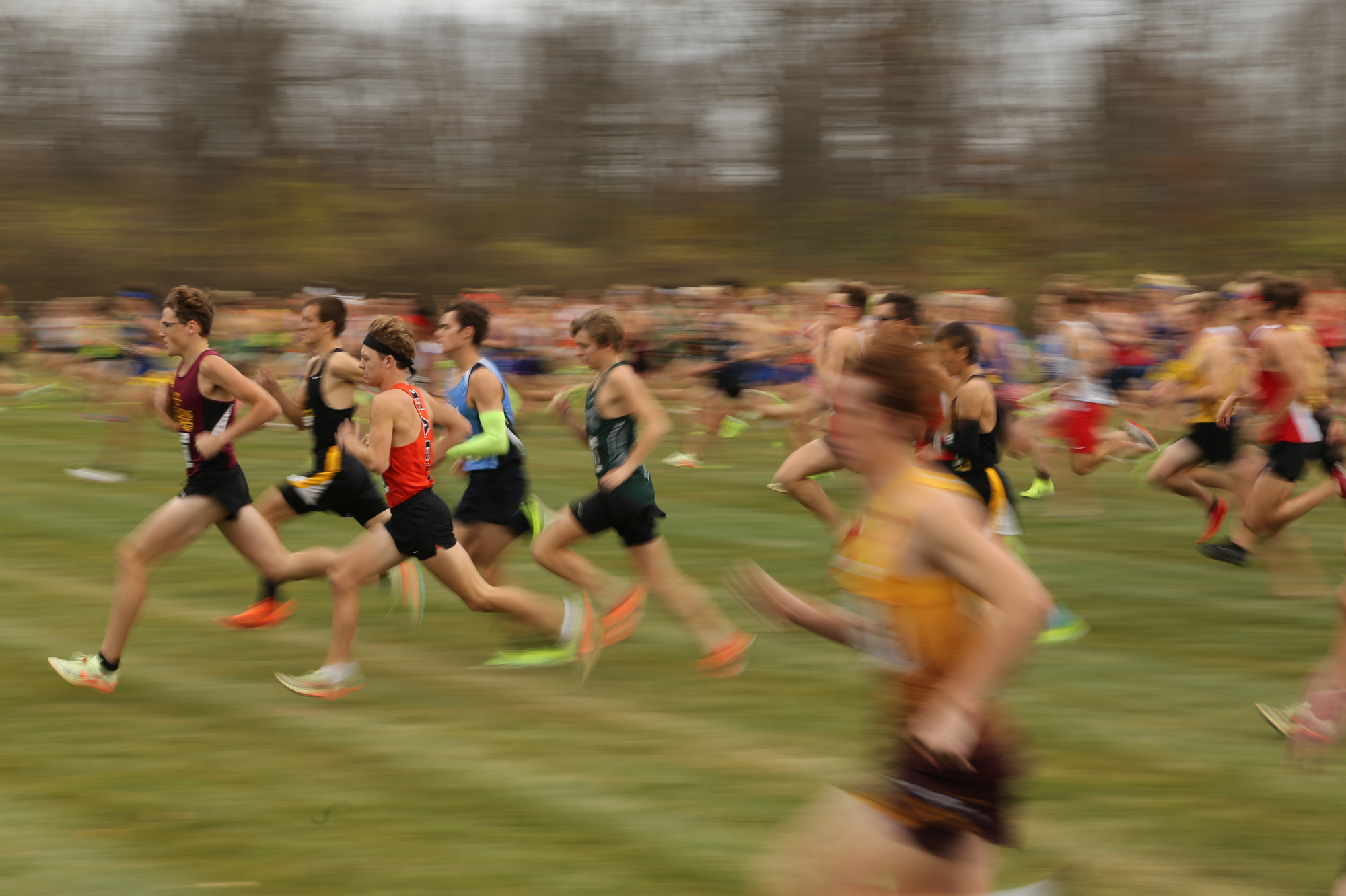 Division III Ohio High School Cross Country Championships 2022