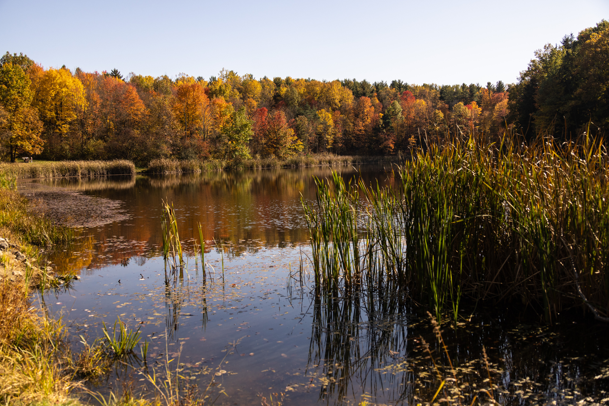 Fall colors in the Cuyahoga Valley National Park 2024 - cleveland.com