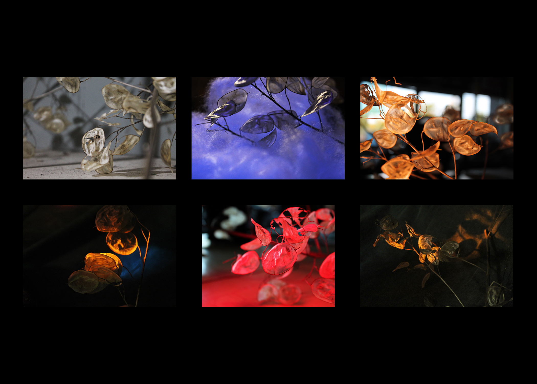 2024 CNY Scholastic Art Awards: Portfolio - syracuse.com