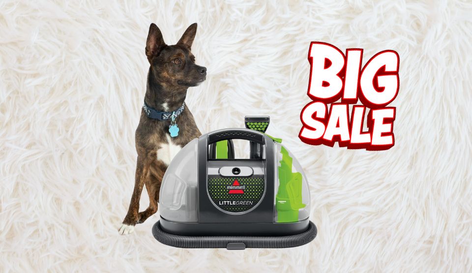 Bissell's Little Green Portable Carpet Cleaner is on sale