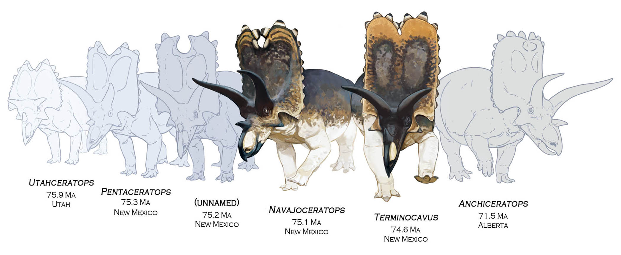 Two new dinosaurs found in fossils at State Museum of Pennsylvania -  