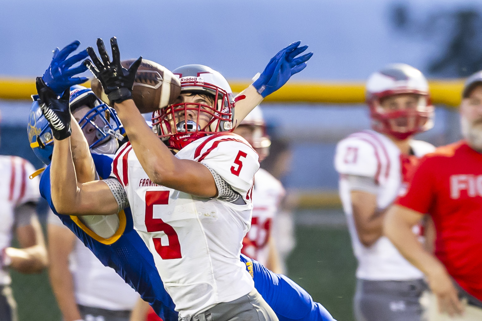 Semi-professional football team in the area, WV Bulldogs in second season, Preston County Sports