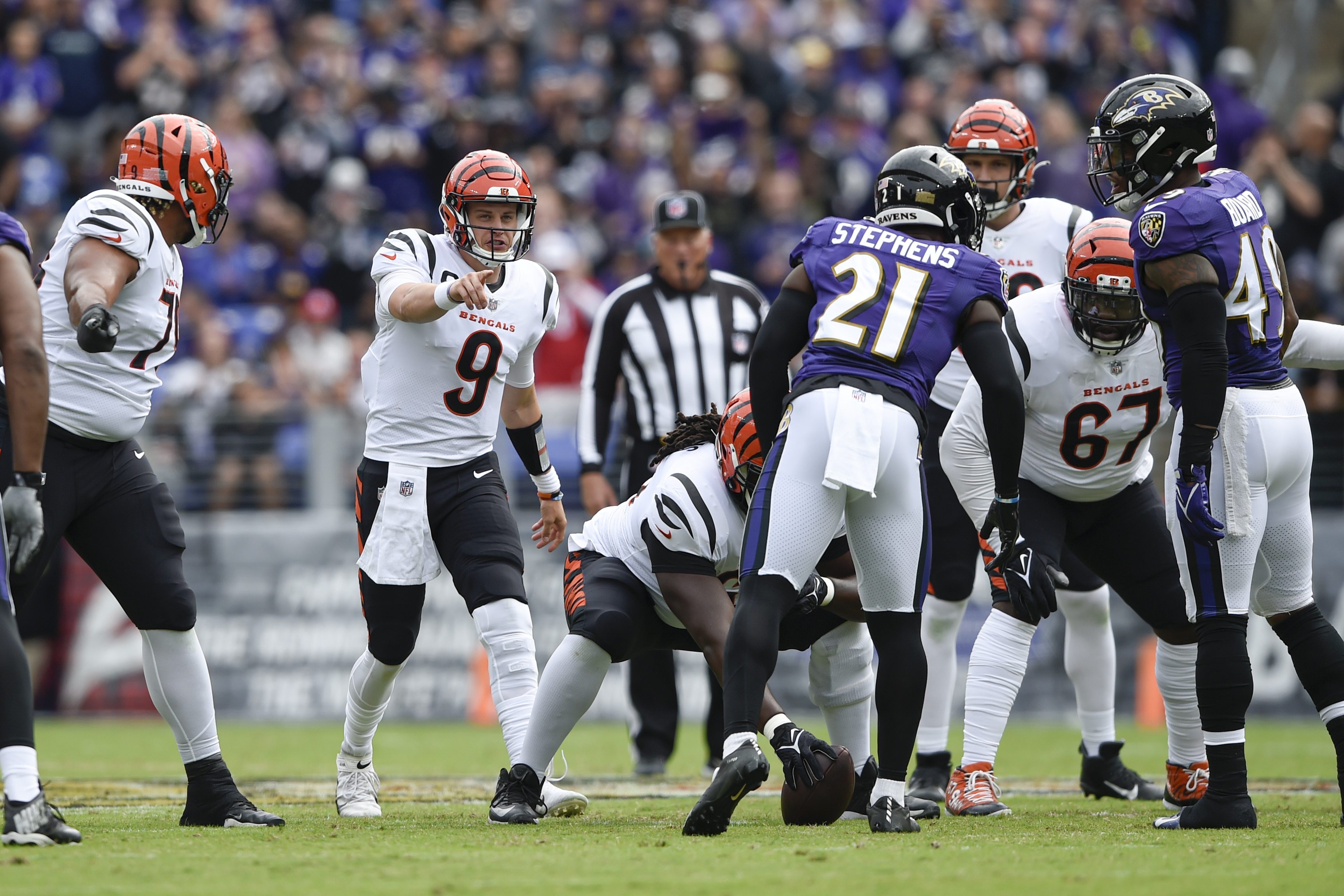 The Bengals' Sage on X: A @Bengals Tiger eating a @Ravens. Stained  glass.Week 5/18. @JoeGoodberry @pauldehnerjr @MoEgger @DaltonSignature # Bengals #Ravens  / X