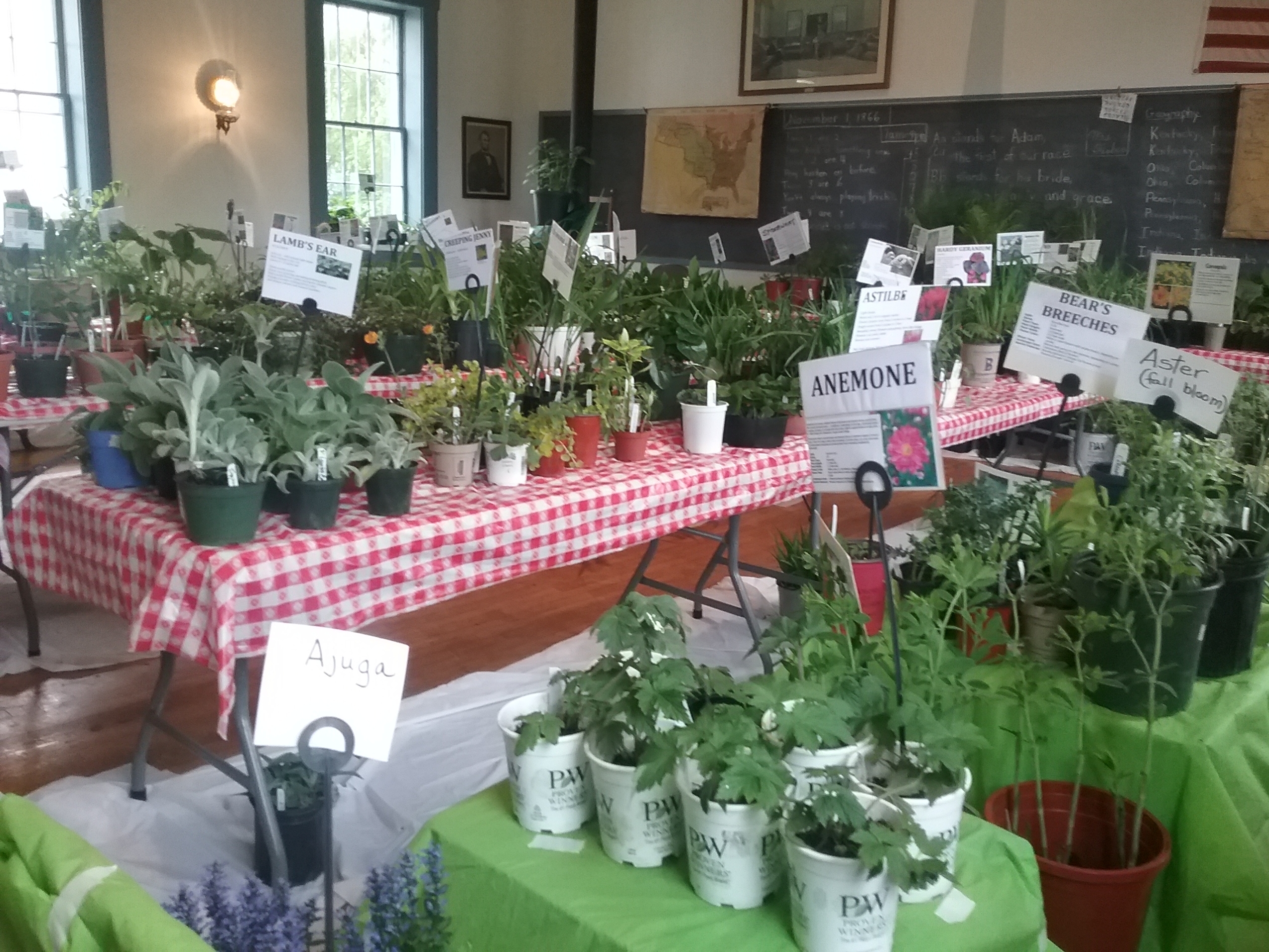 Where to buy your garden: 2024 Northeast Ohio plant sale guide -  cleveland.com