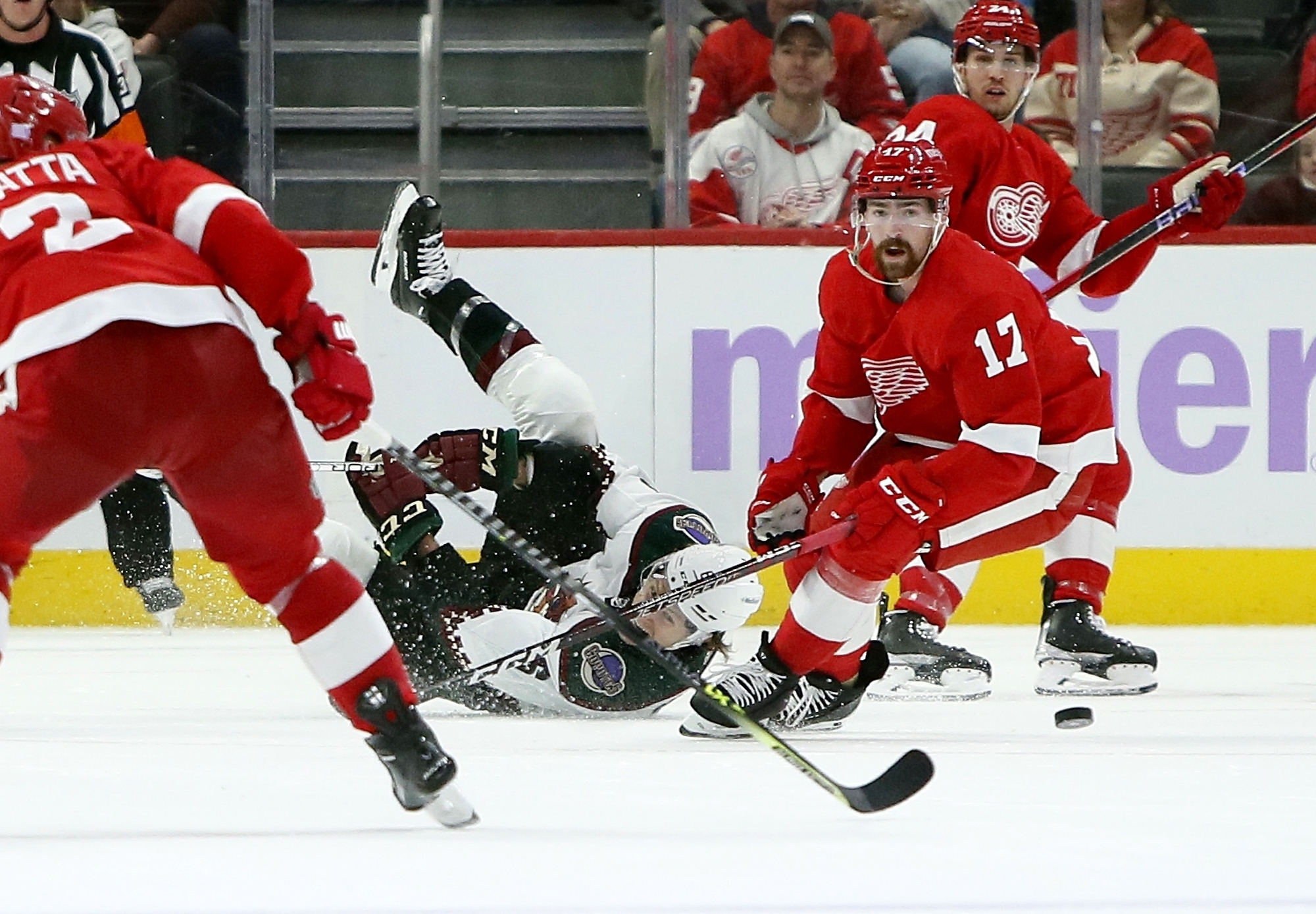 Detroit Red Wings – Pro Hockey Life