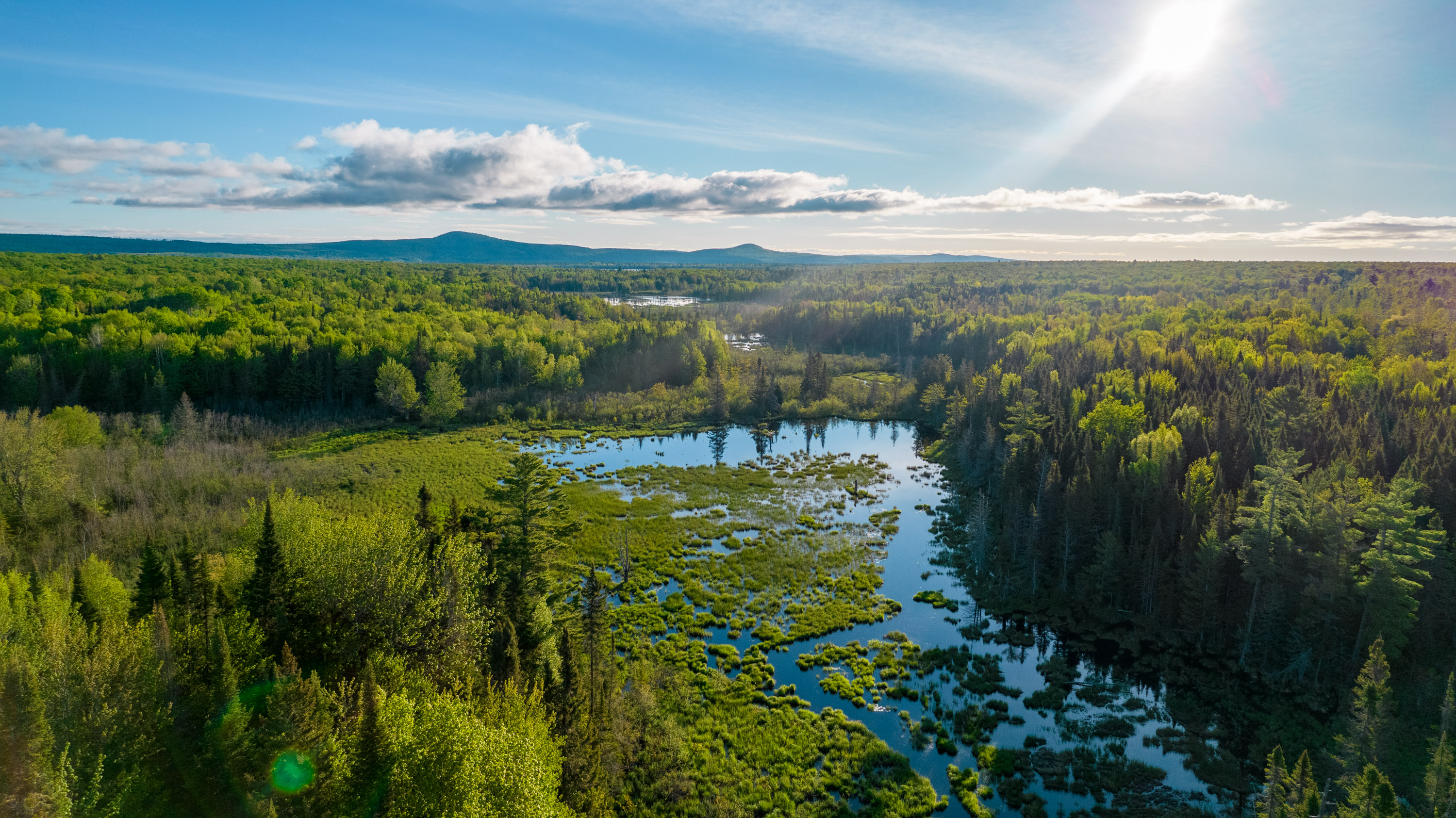Keweenaw Heartlands preserved in Upper Peninsula