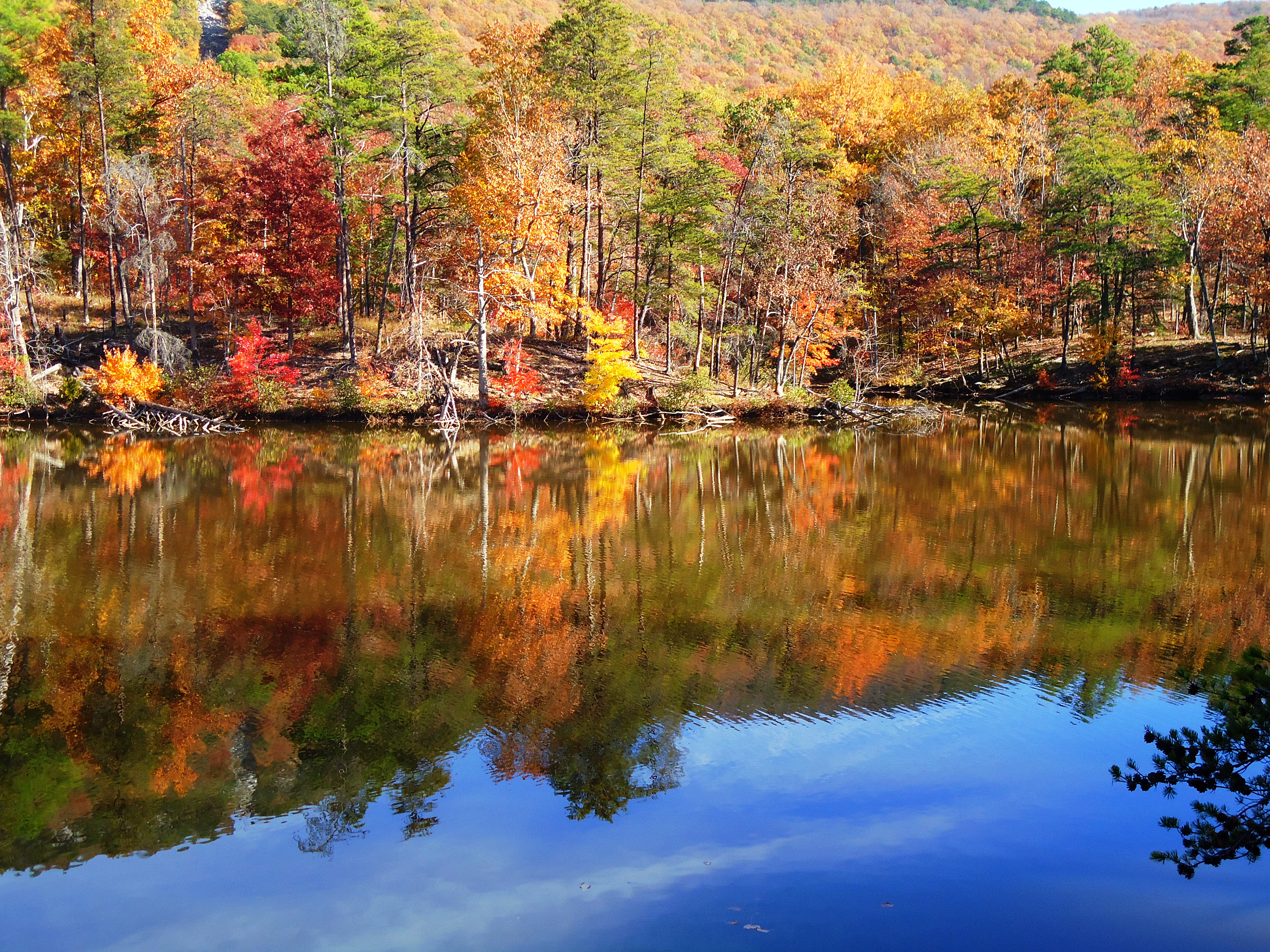 Fall Color on Display at Alabama's State Parks