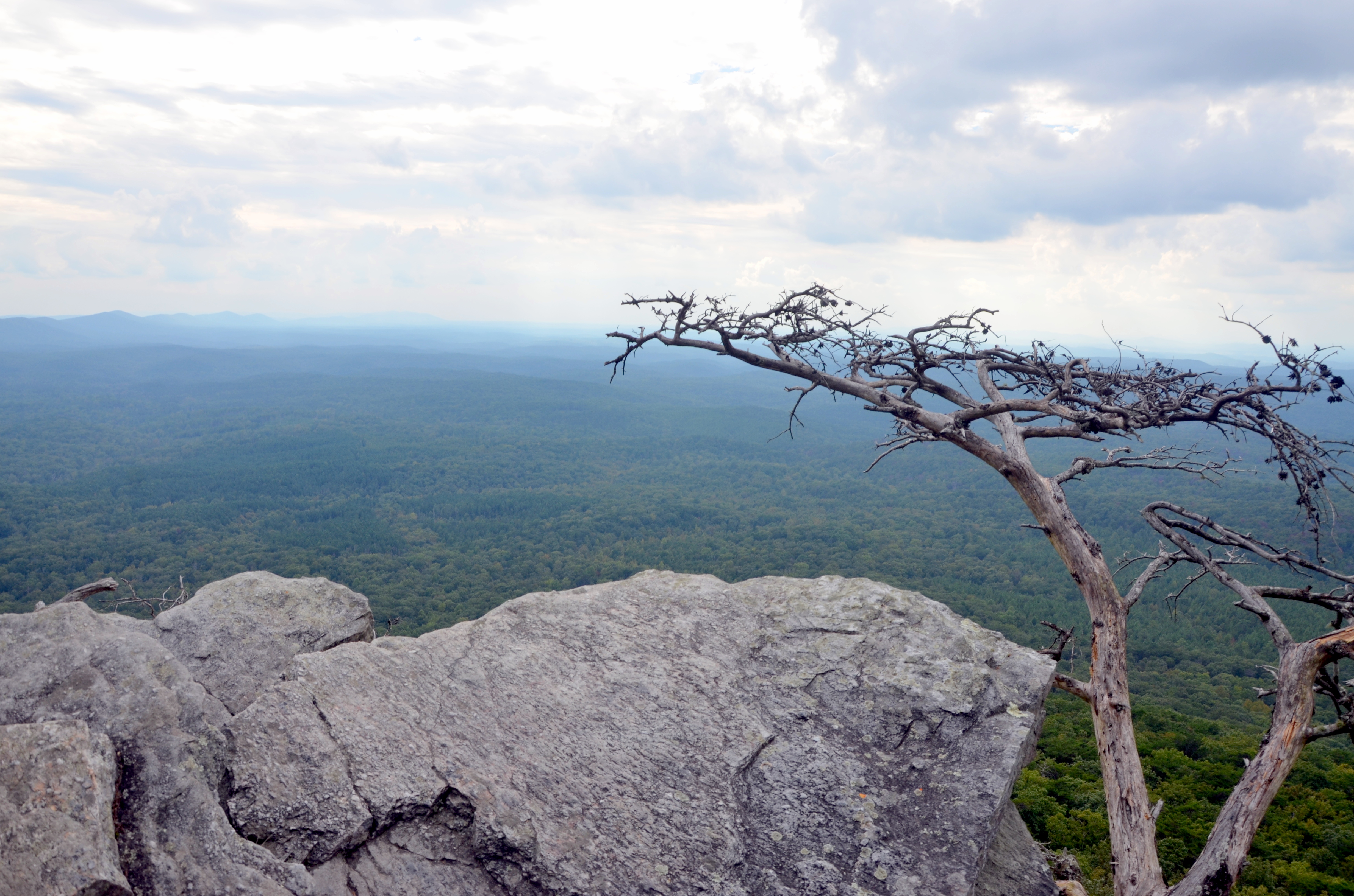 Mt cheaha deals