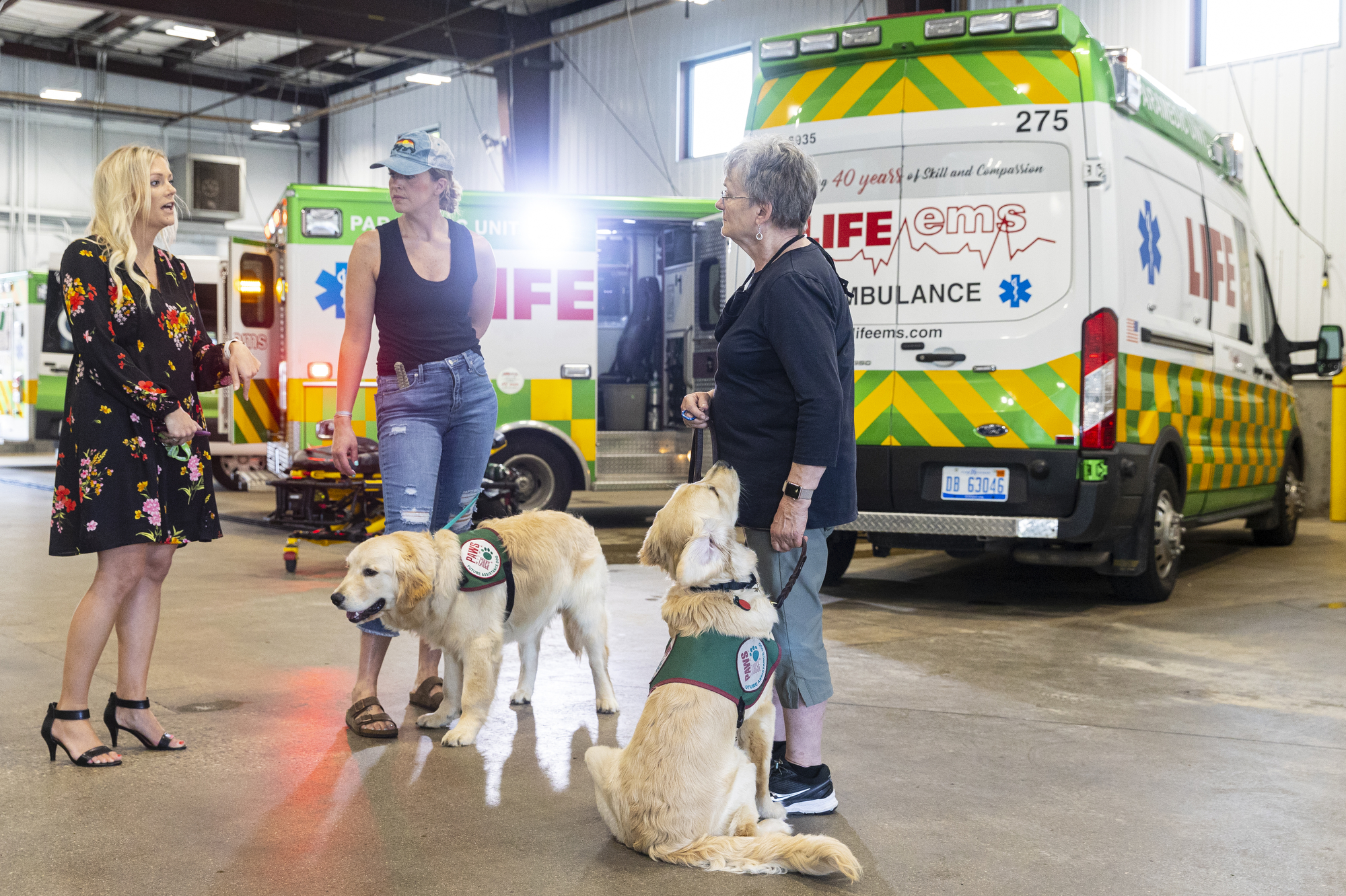PAWS puppies get acclimated with ambulances - mlive.com