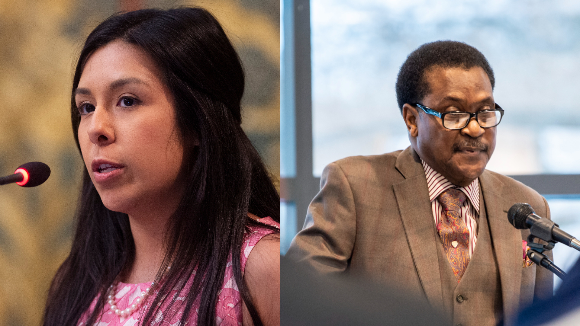 Whitmer appoints former State Reps. Vanessa Guerra, Carl Williams to SVSU  board - mlive.com
