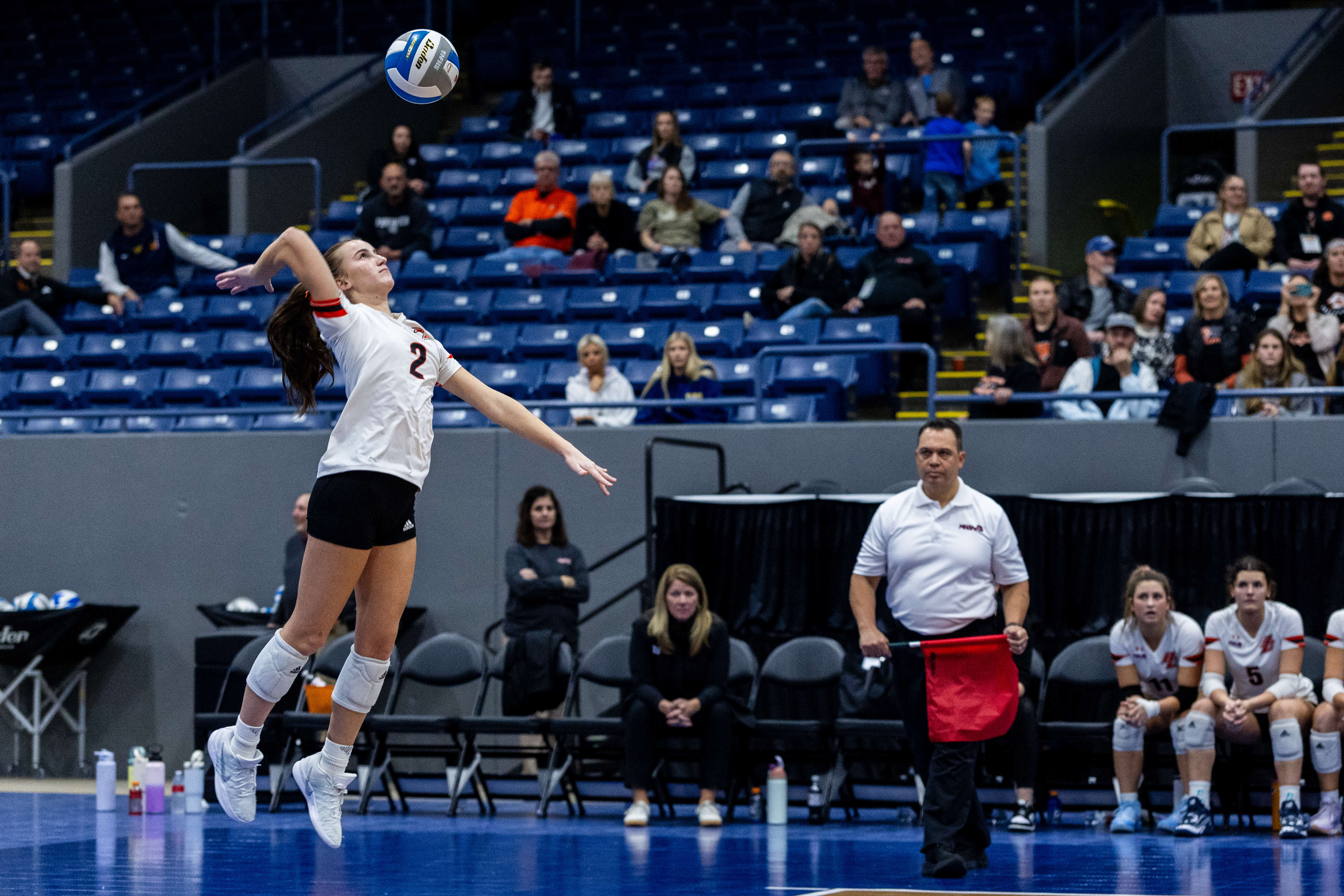 Jackson Sports - MLive.com