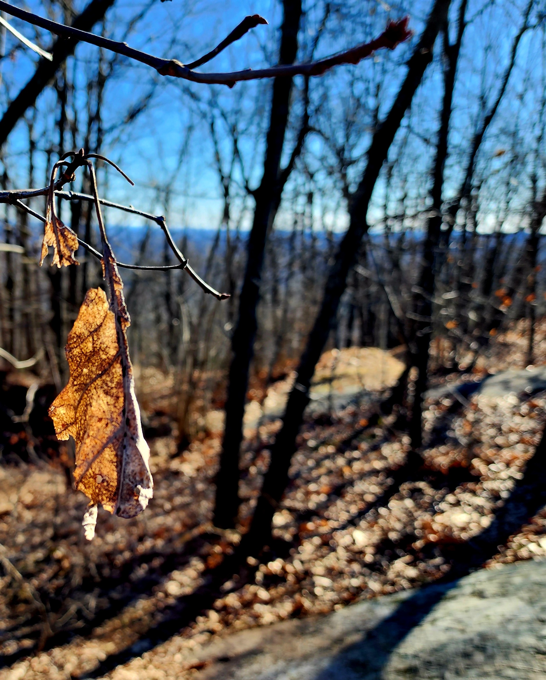 Get the chills on winter hike to Eyrie House Ruins