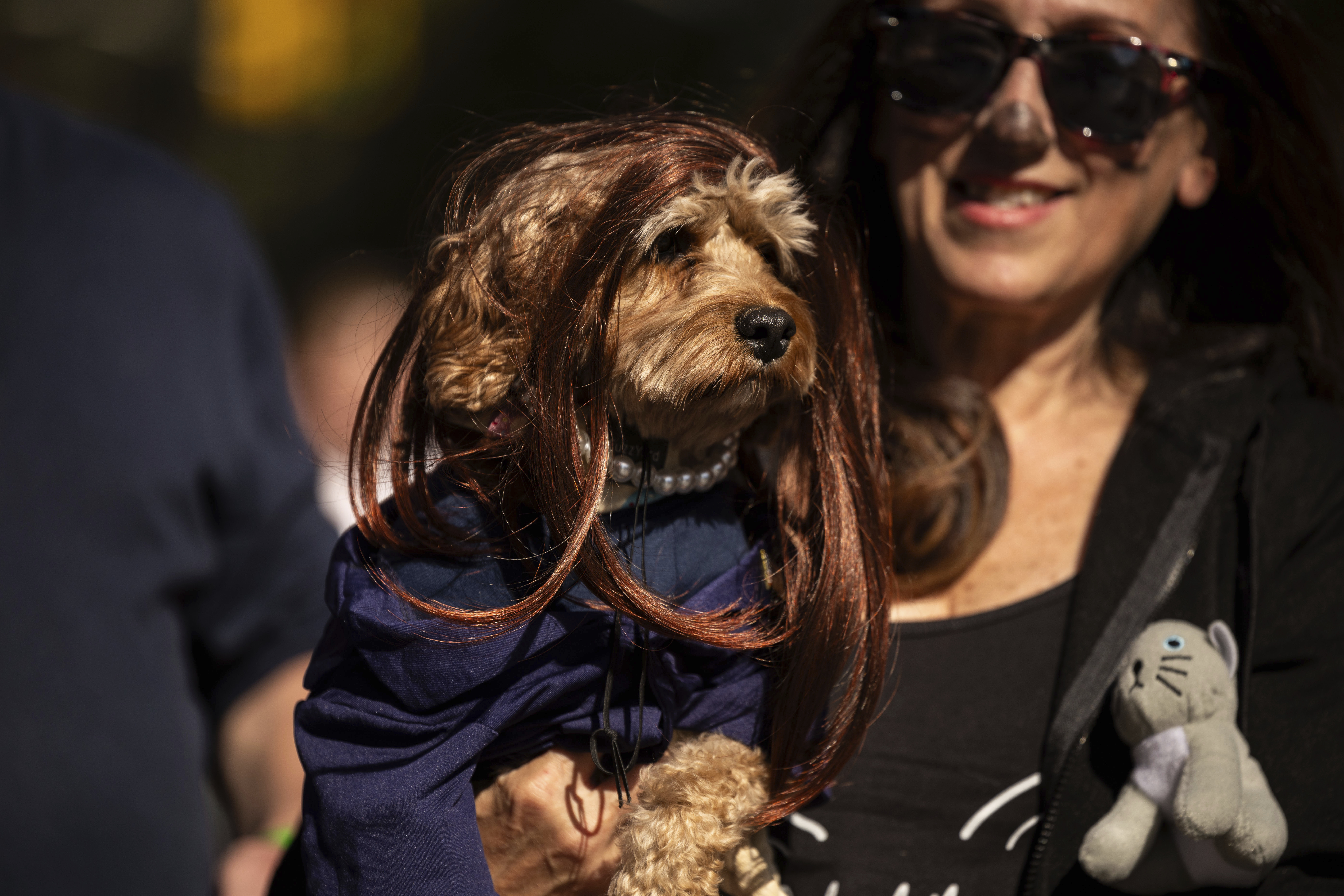 People and their dogs in costume participate in the 34th annual Tompkins Square Halloween Dog Parade, Saturday, Oct. 19, 2024, in New York. (AP Photo/Yuki Iwamura)