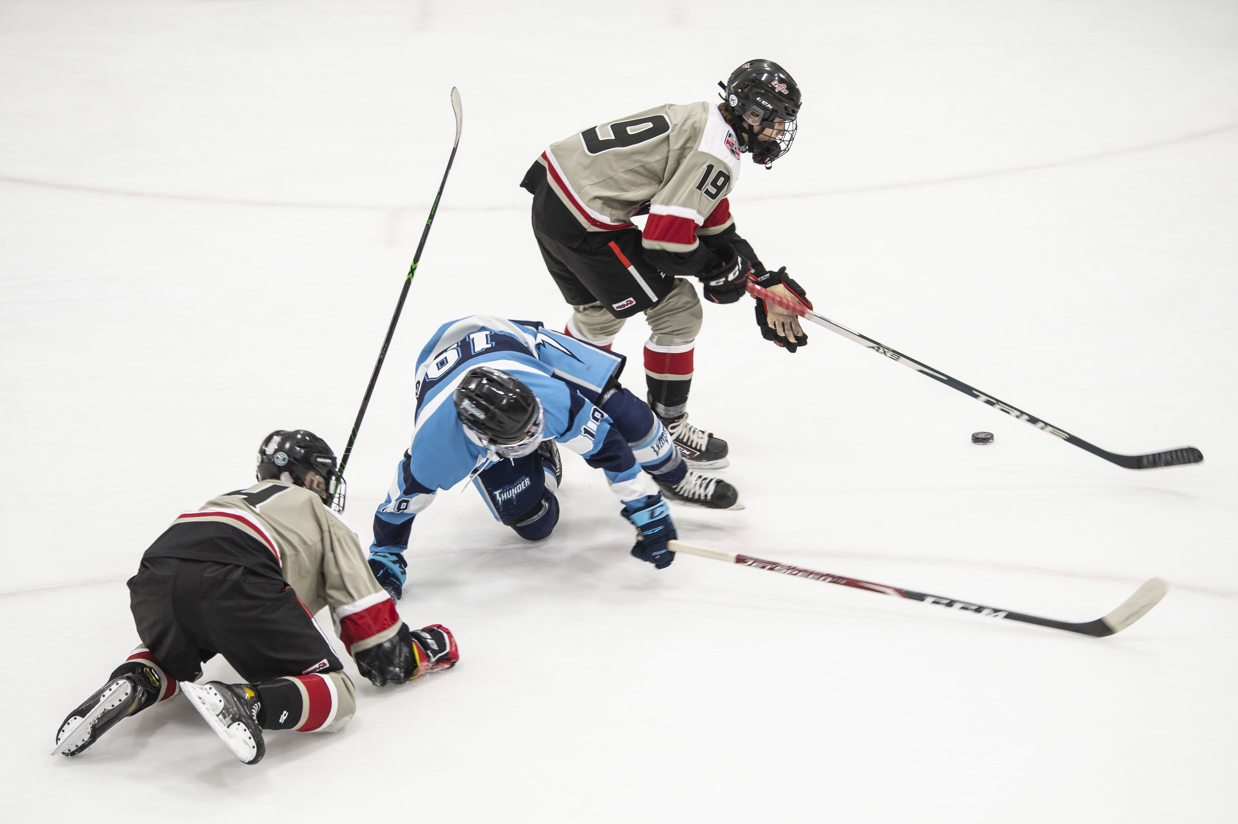 FNV Griffins boys hockey defeat Bay Area Thunder 9-3 - mlive.com