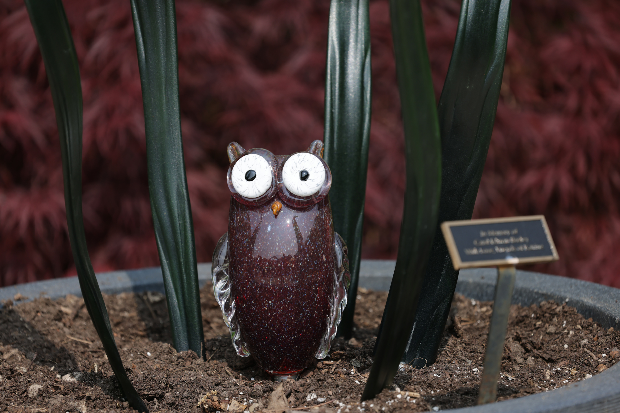 "BLOOM! Botanicals & Birdhouses" at the Cleveland Botanical Garden