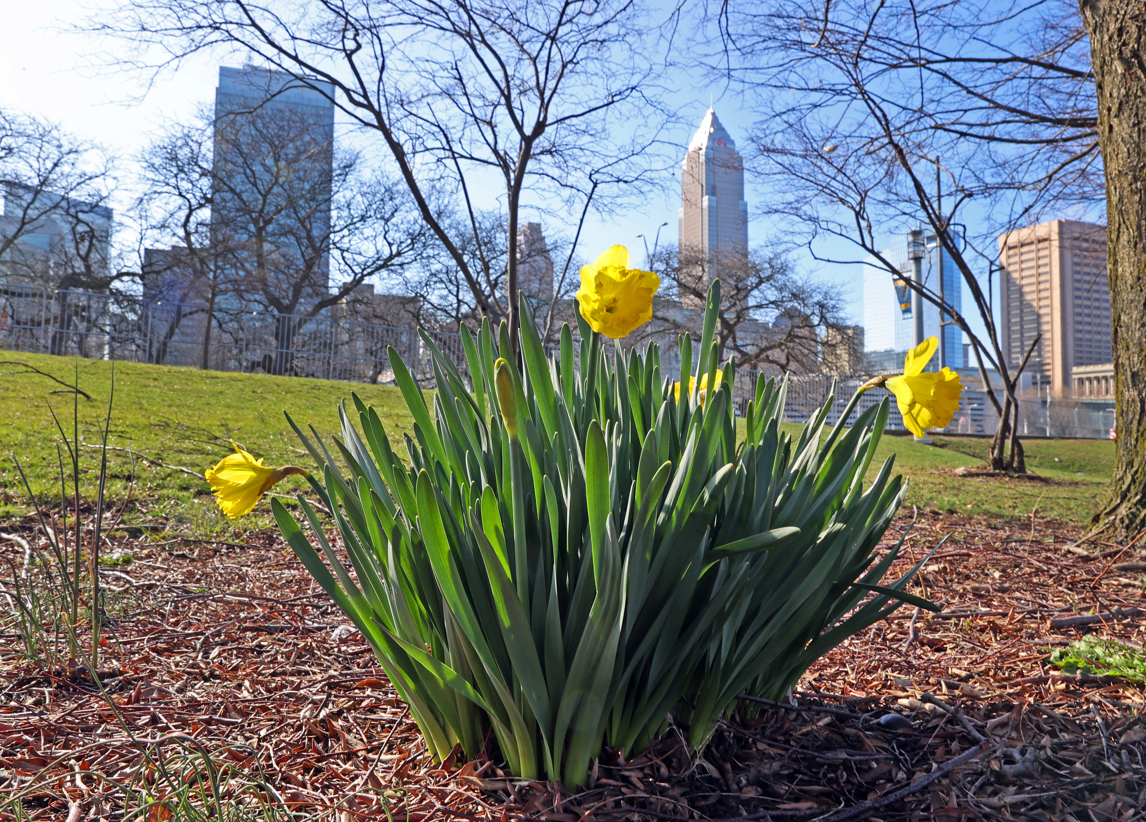 The beauty of Spring 2023 in Northeast Ohio - cleveland.com