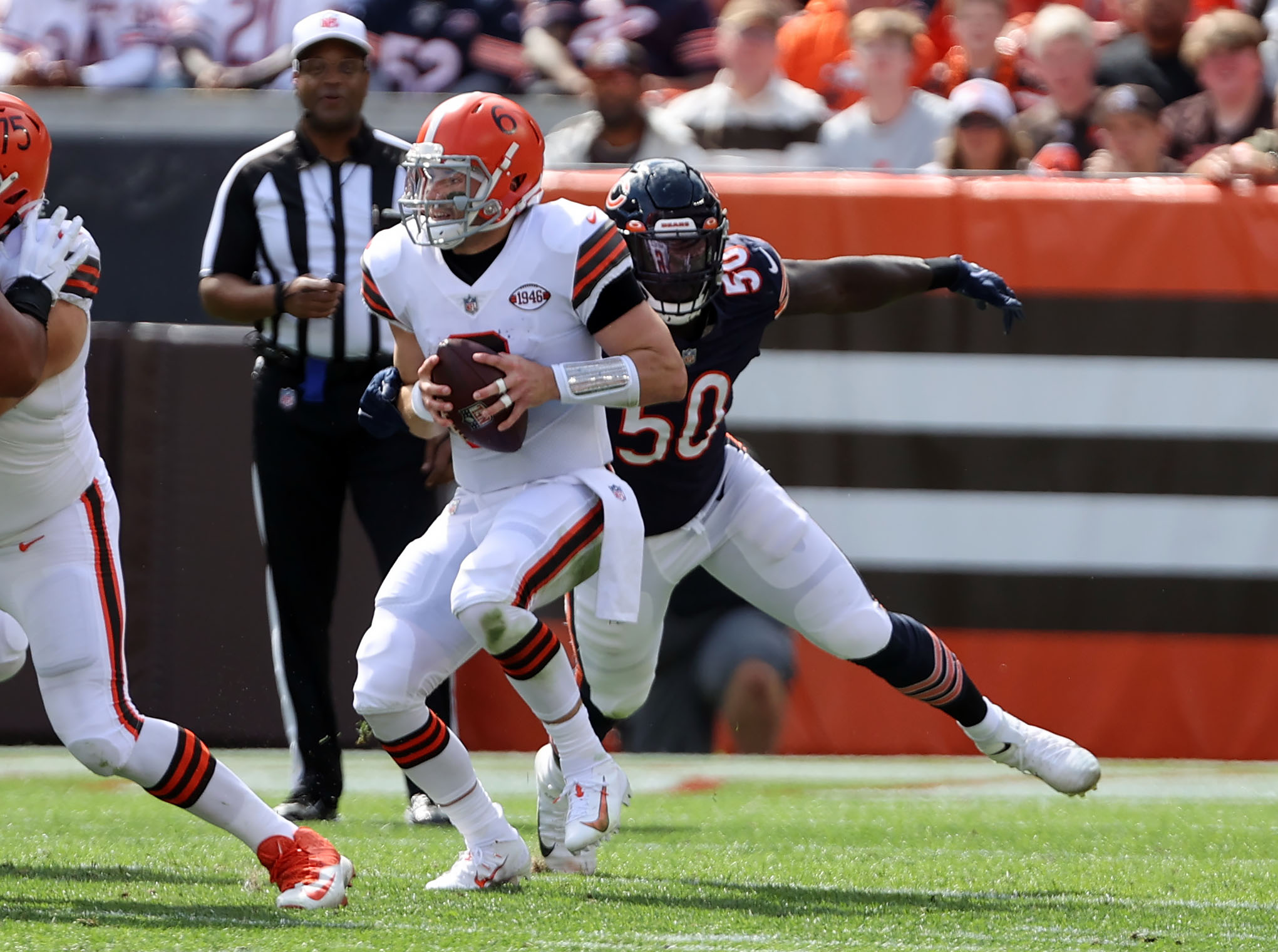 Things for Cleveland Browns to know when encountering a Chicago Bear:  Crowquill 