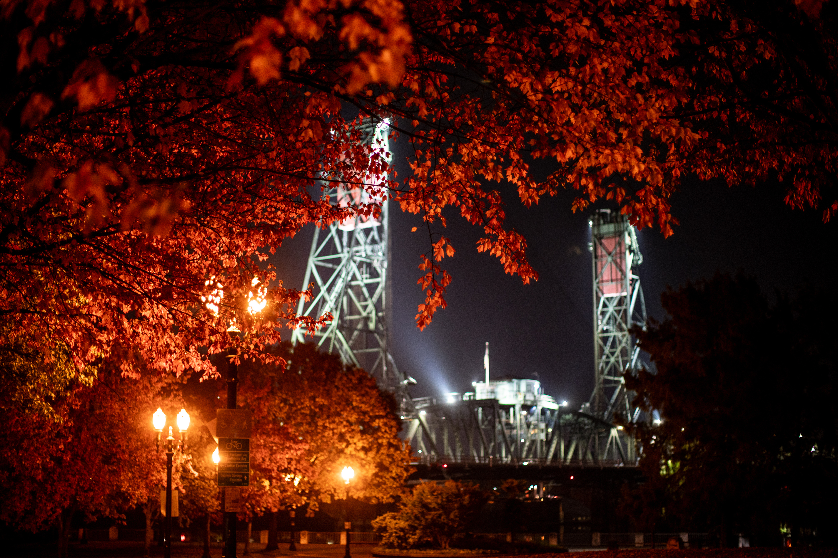 A fall Portland night November 7, 2024 - oregonlive.com
