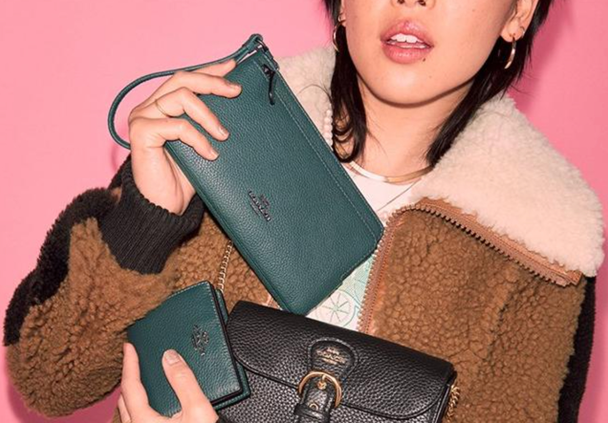 Cyber monday coach online purses